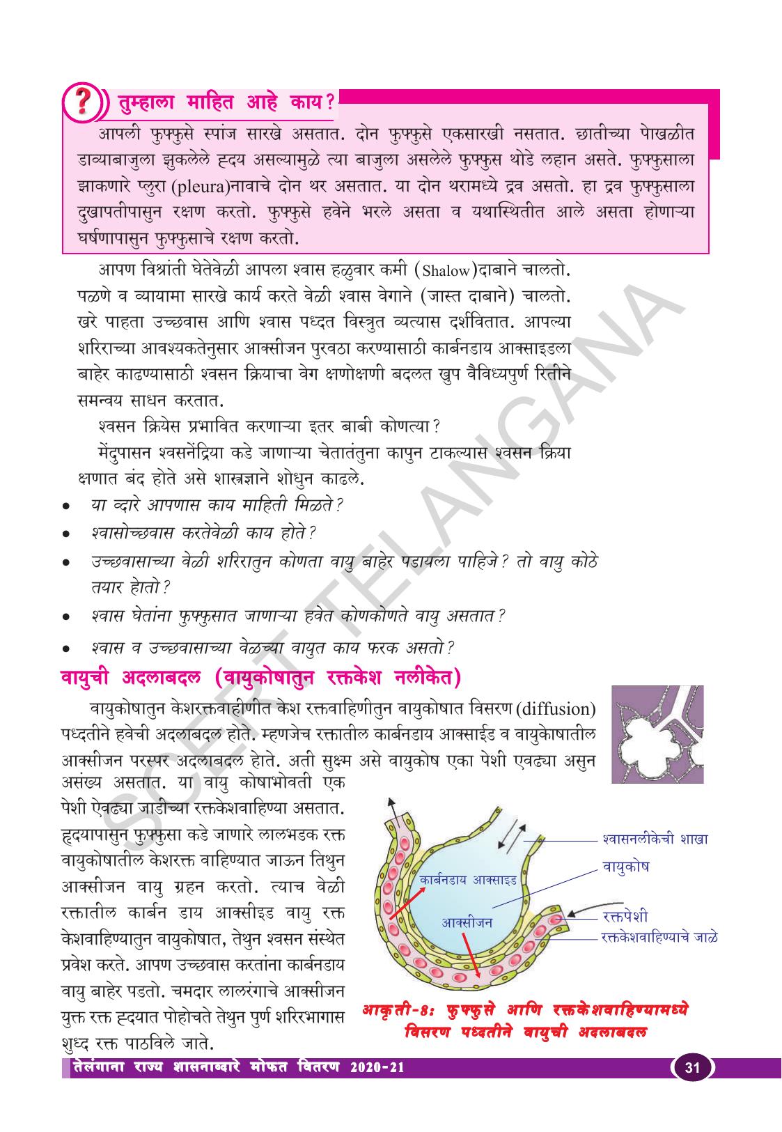 TS SCERT Class 10 Biological Science (Marathi Medium) Text Book - Page 43