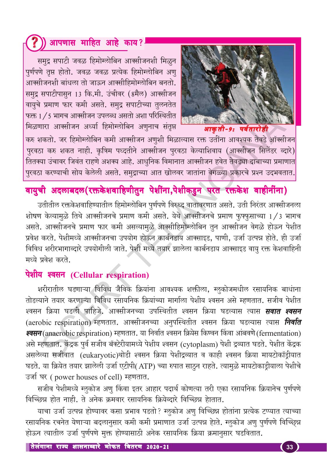 TS SCERT Class 10 Biological Science (Marathi Medium) Text Book - Page 45