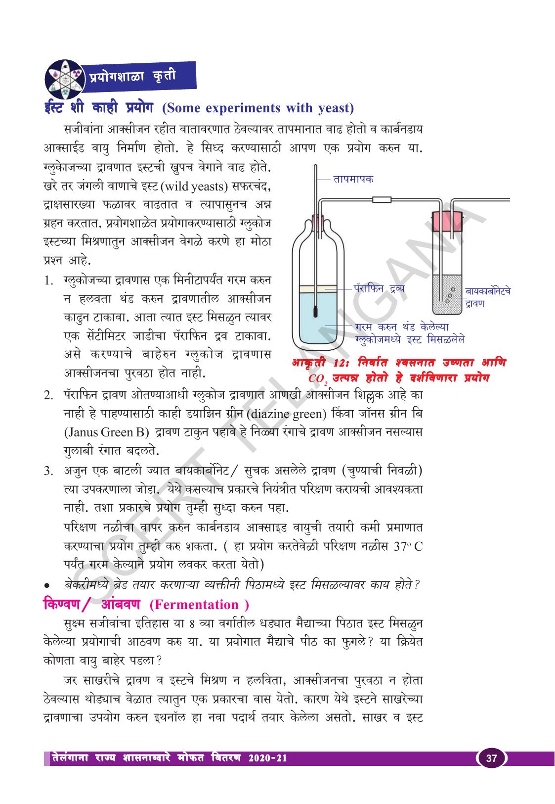 TS SCERT Class 10 Biological Science (Marathi Medium) Text Book - Page 49