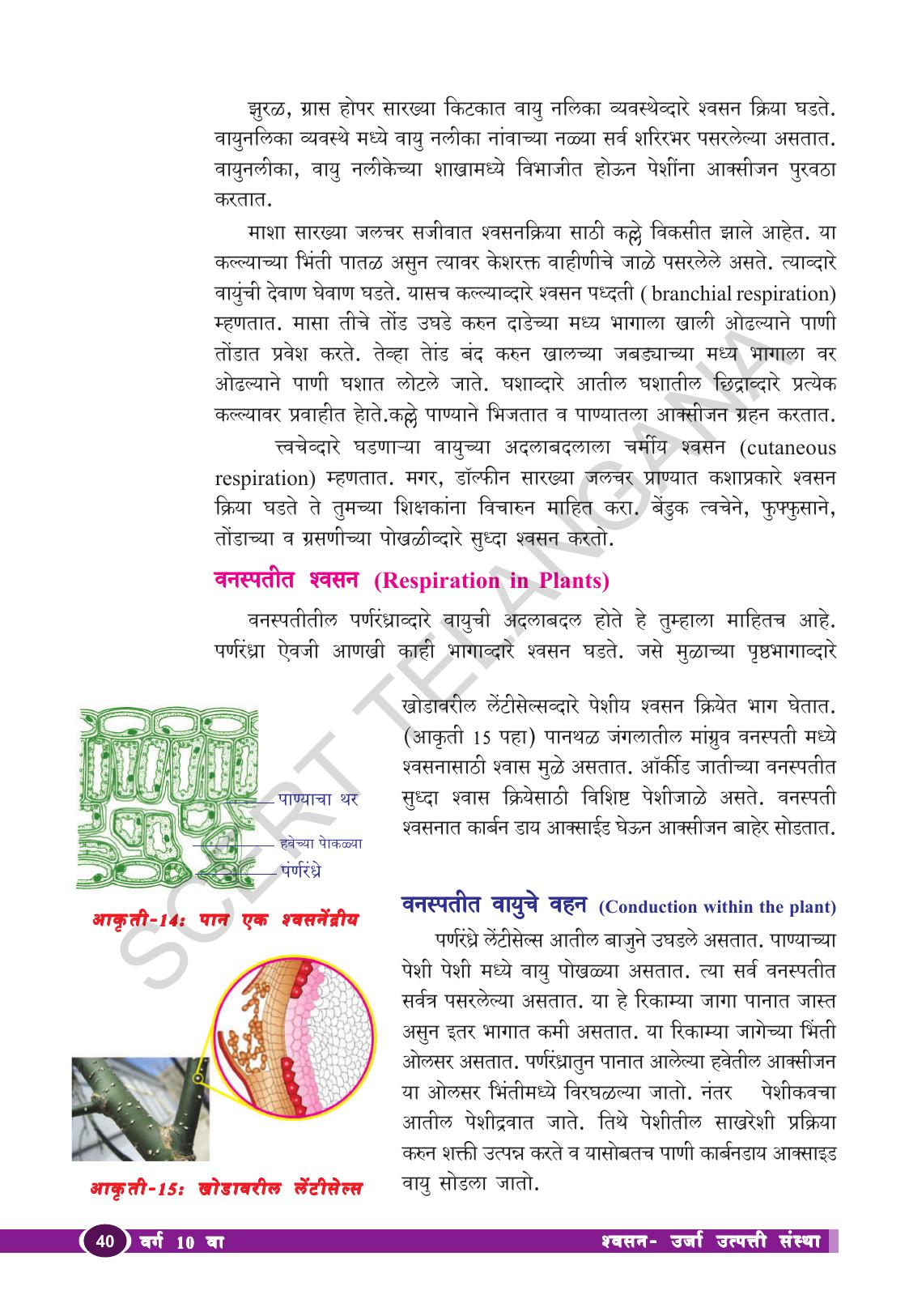 TS SCERT Class 10 Biological Science (Marathi Medium) Text Book - Page 52