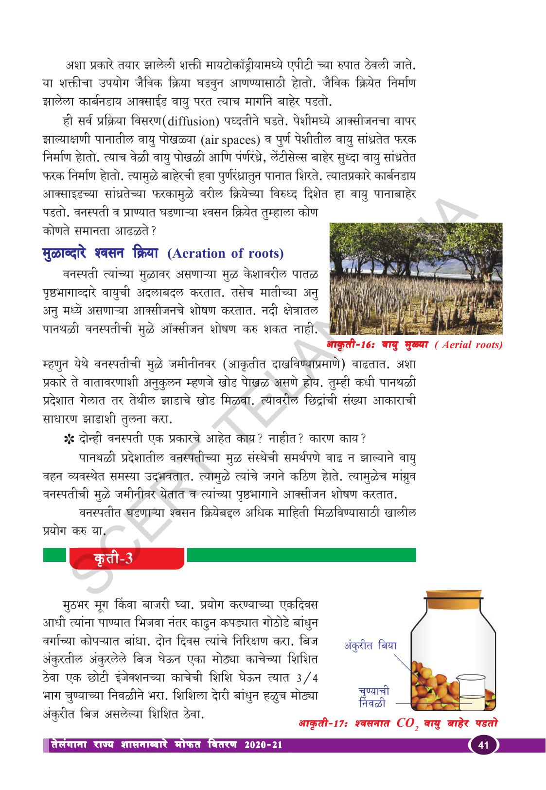 TS SCERT Class 10 Biological Science (Marathi Medium) Text Book - Page 53