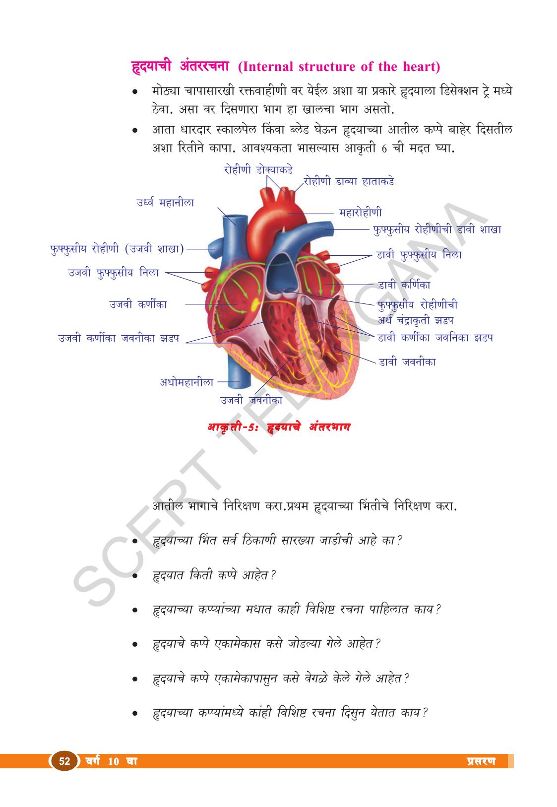 TS SCERT Class 10 Biological Science (Marathi Medium) Text Book - Page 64