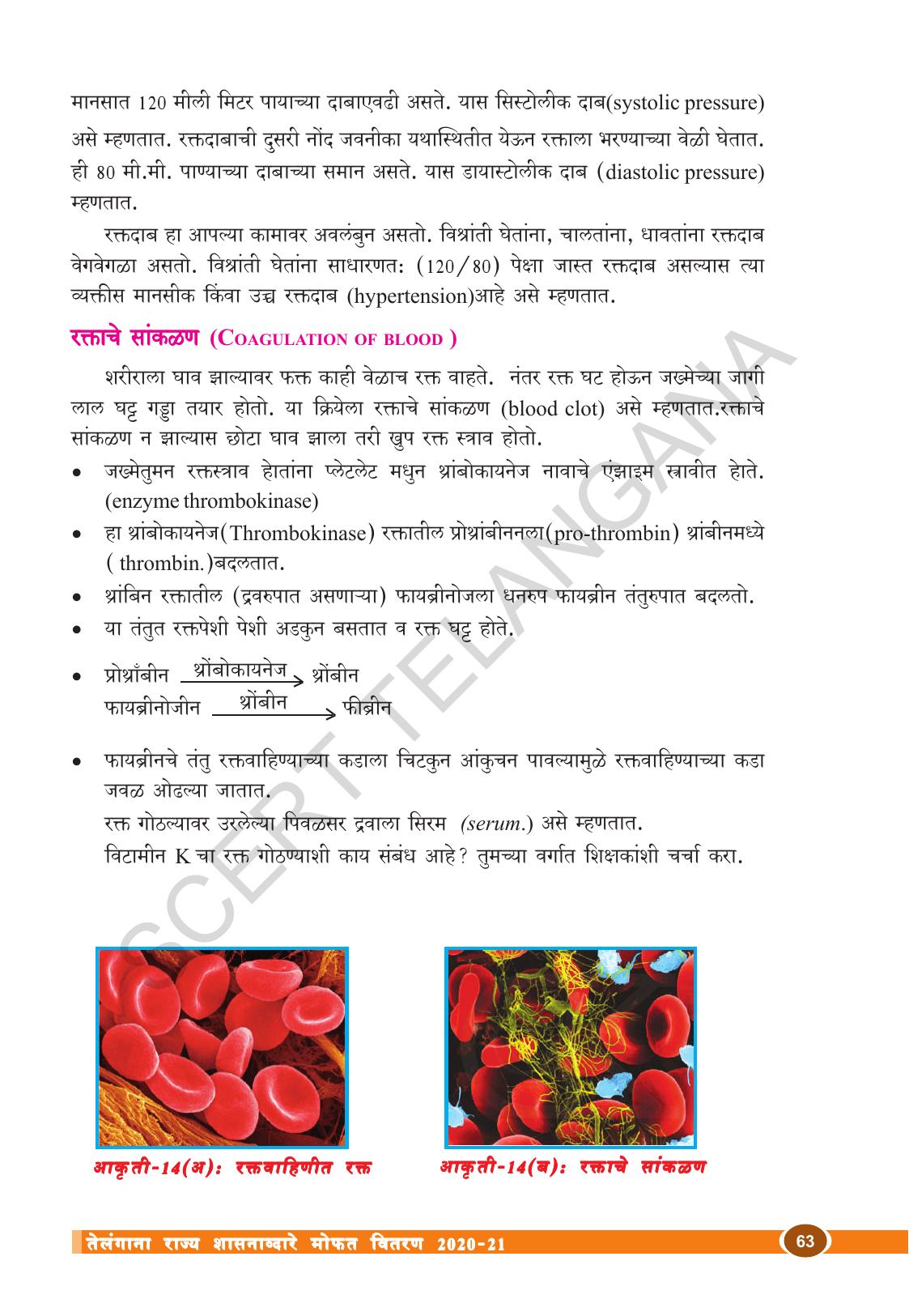 TS SCERT Class 10 Biological Science (Marathi Medium) Text Book - Page 75