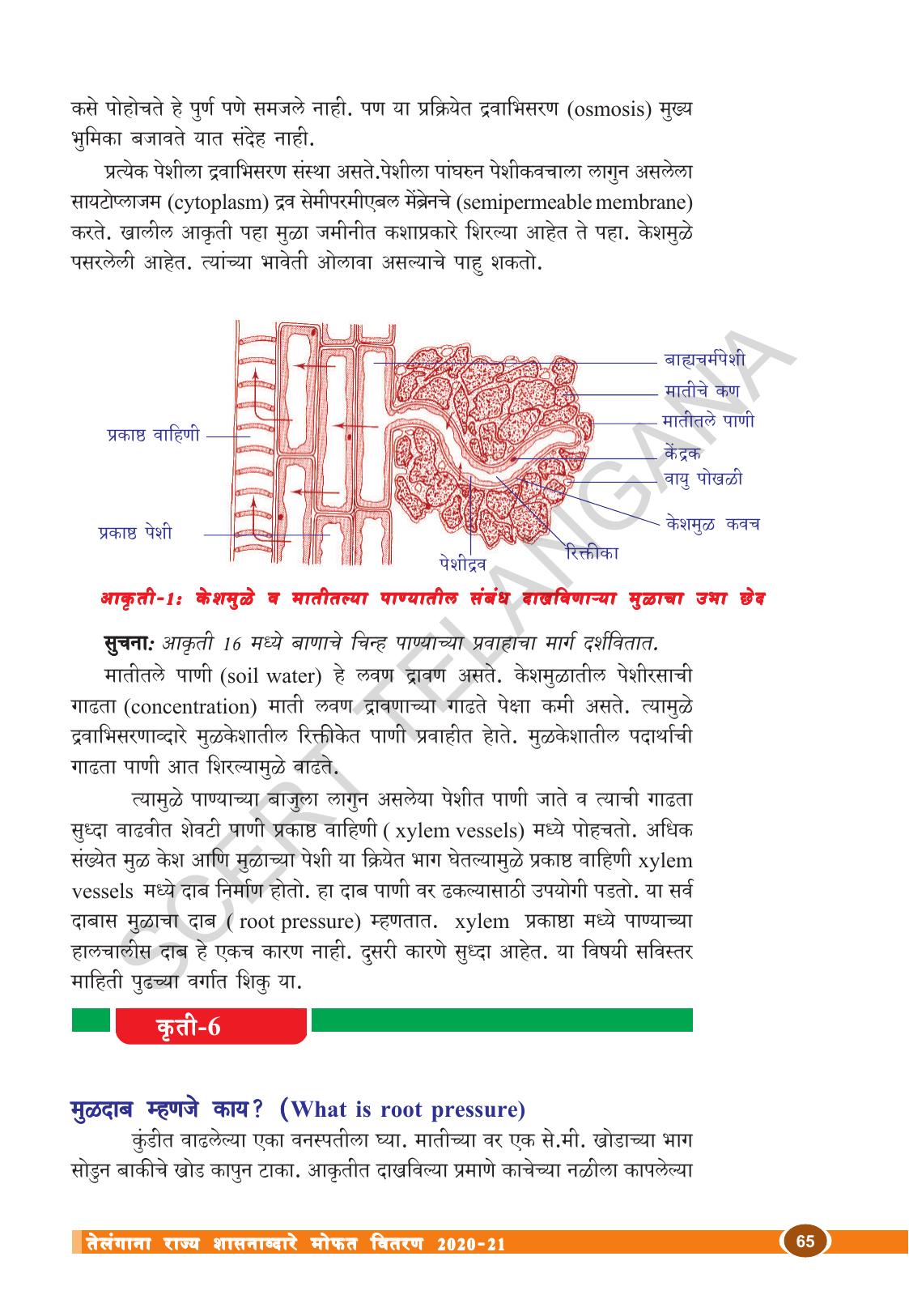 TS SCERT Class 10 Biological Science (Marathi Medium) Text Book - Page 77