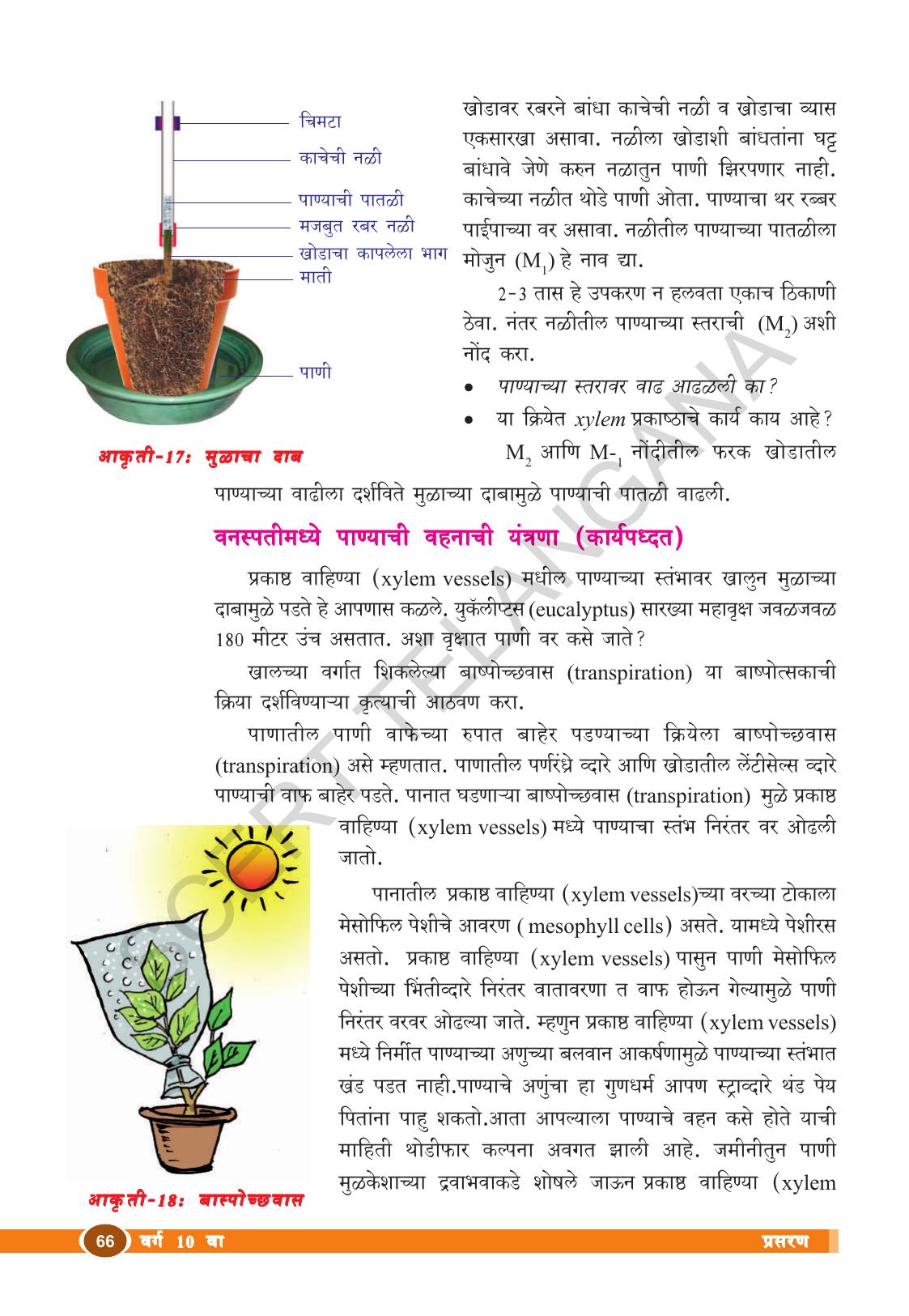 TS SCERT Class 10 Biological Science (Marathi Medium) Text Book - Page 78