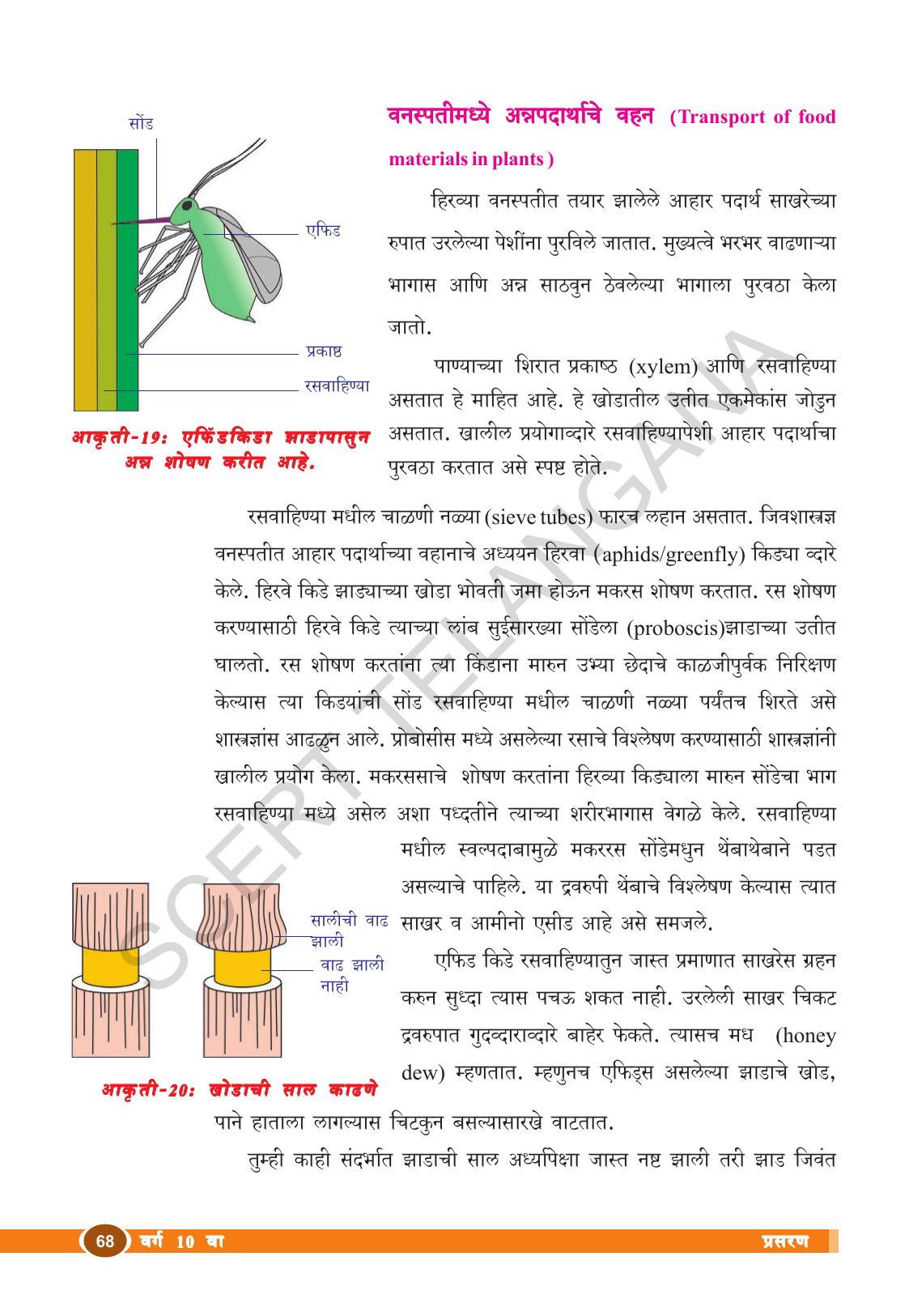 TS SCERT Class 10 Biological Science (Marathi Medium) Text Book - Page 80