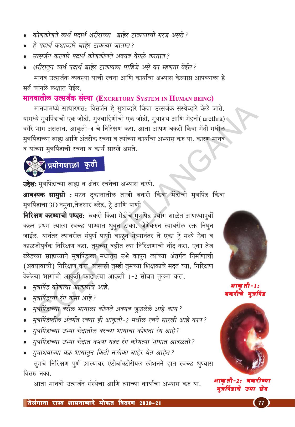 TS SCERT Class 10 Biological Science (Marathi Medium) Text Book - Page 89