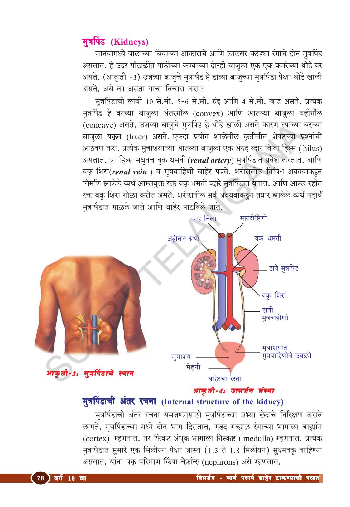 TS SCERT Class 10 Biological Science (Marathi Medium) Text Book - Page 90