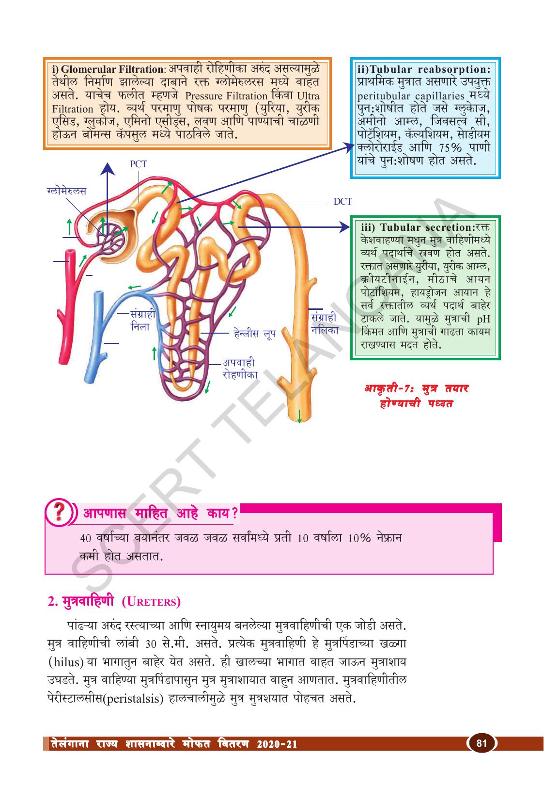 TS SCERT Class 10 Biological Science (Marathi Medium) Text Book - Page 93