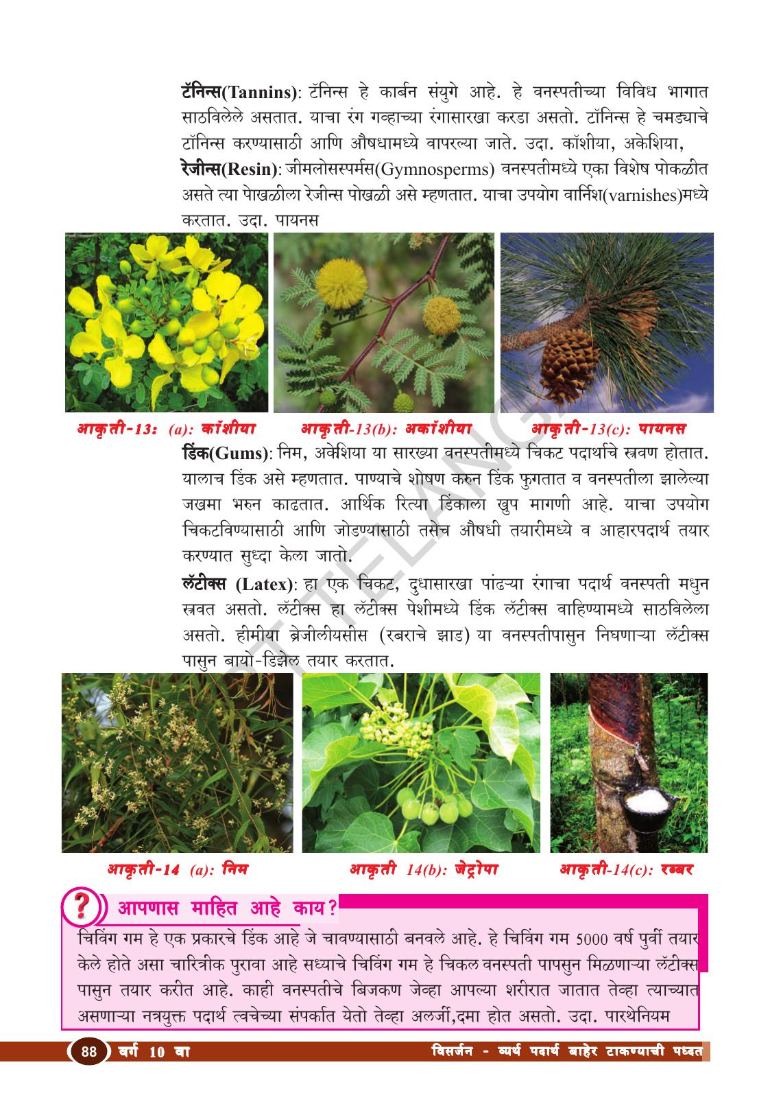 TS SCERT Class 10 Biological Science (Marathi Medium) Text Book - Page 100