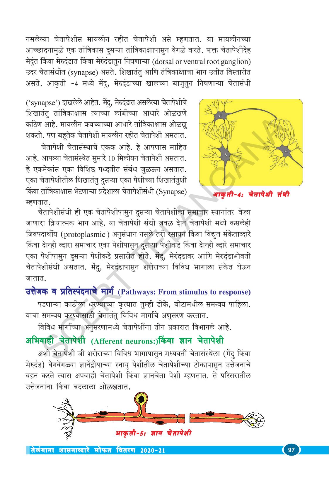 TS SCERT Class 10 Biological Science (Marathi Medium) Text Book - Page 109