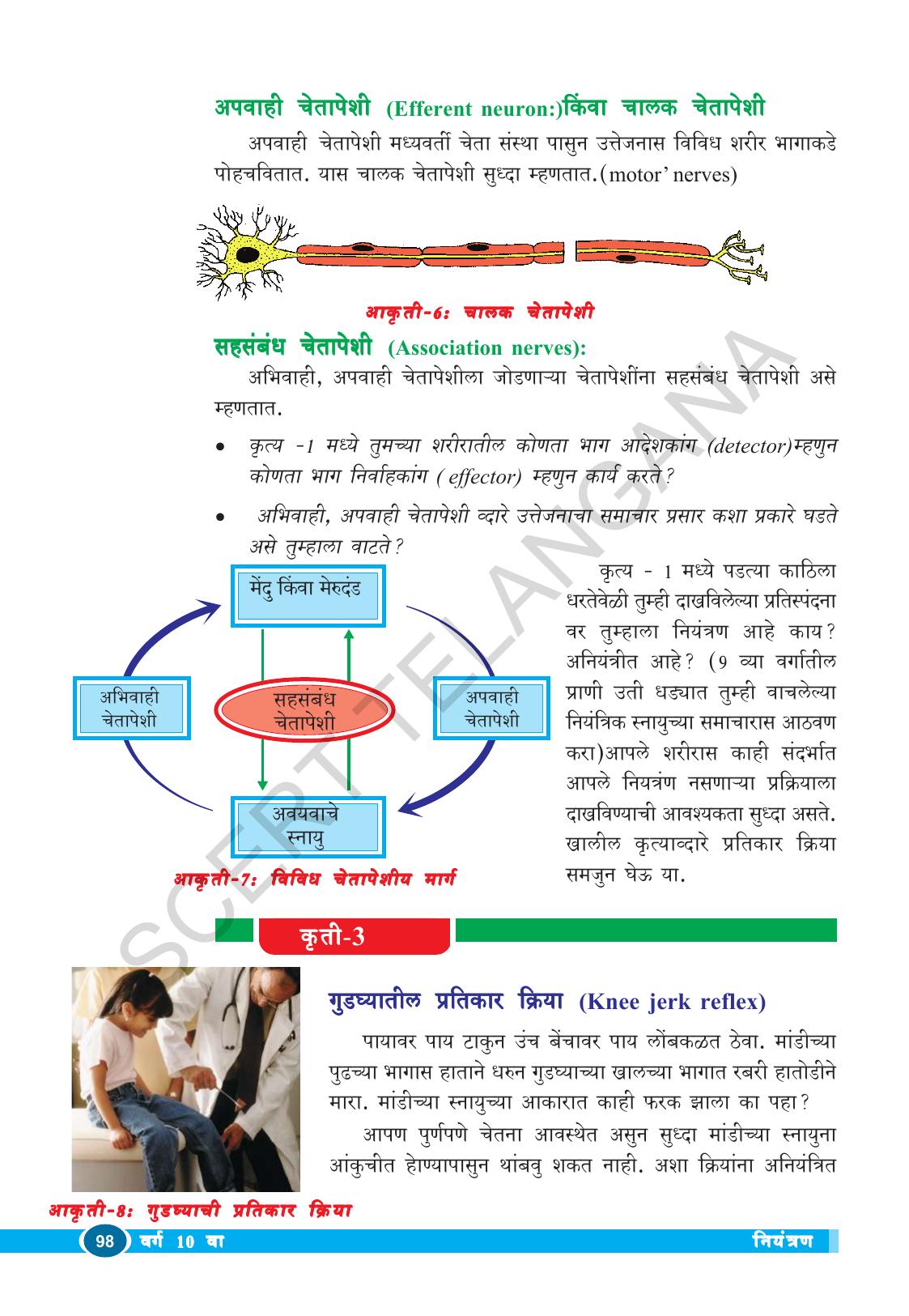 TS SCERT Class 10 Biological Science (Marathi Medium) Text Book - Page 110