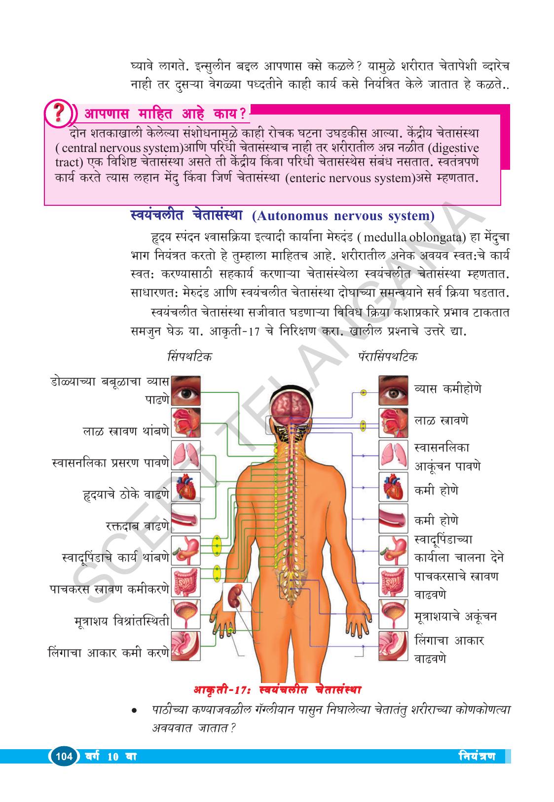 TS SCERT Class 10 Biological Science (Marathi Medium) Text Book - Page 116