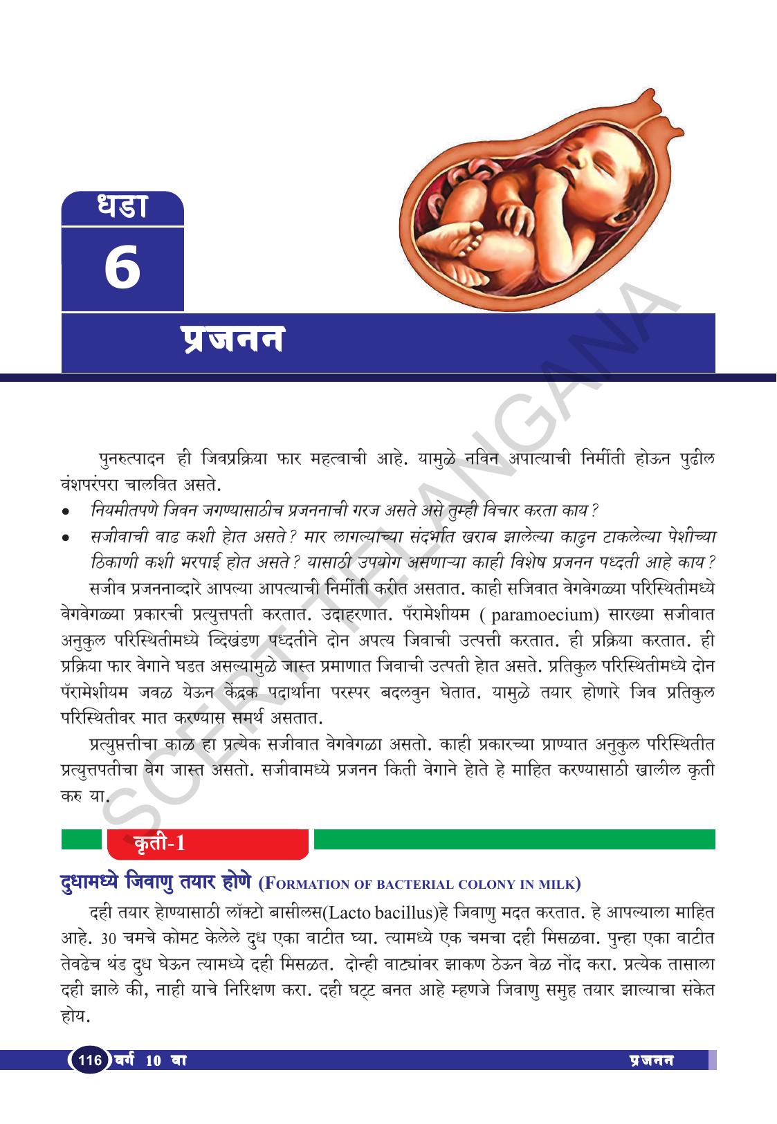 TS SCERT Class 10 Biological Science (Marathi Medium) Text Book - Page 128