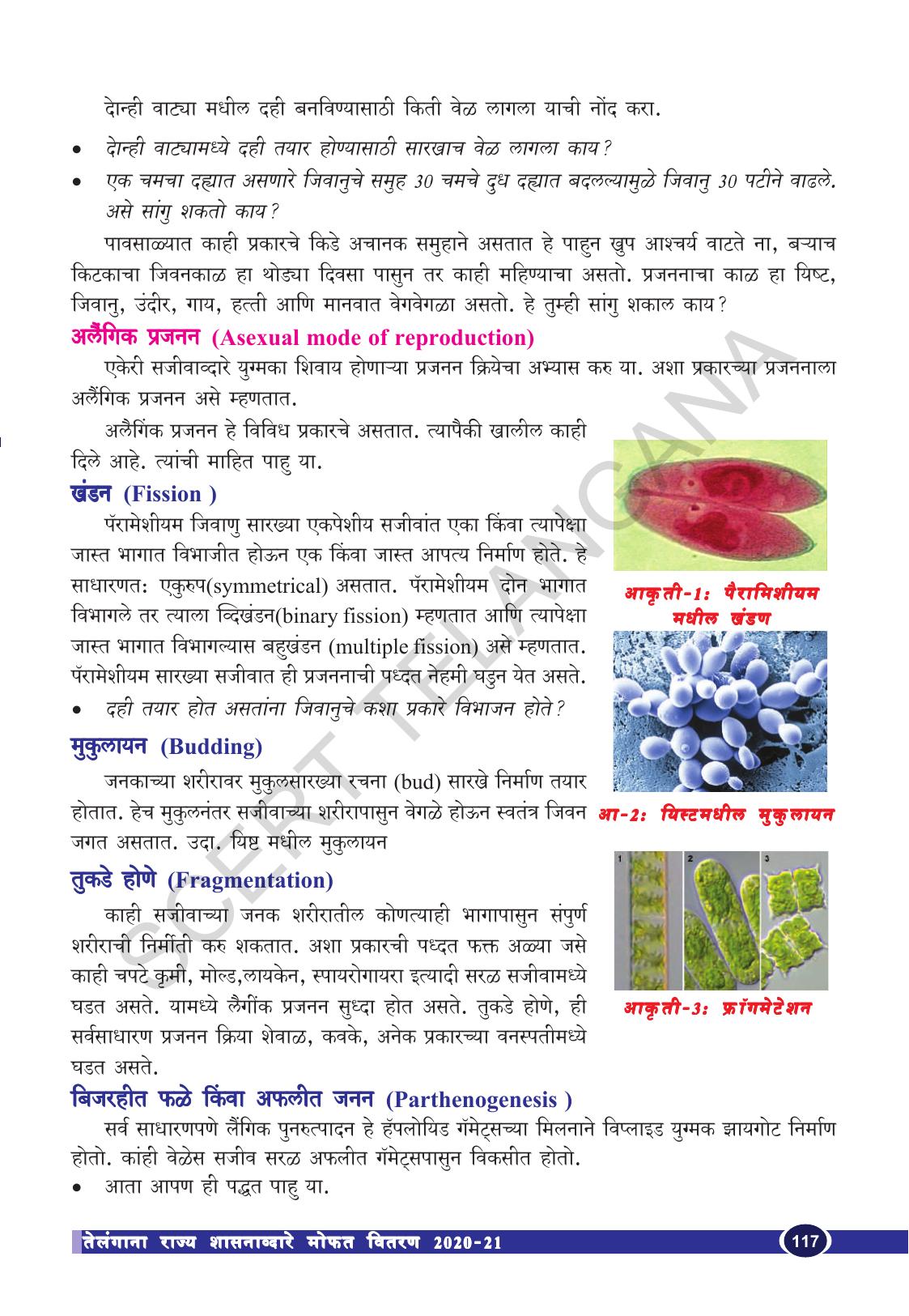 TS SCERT Class 10 Biological Science (Marathi Medium) Text Book - Page 129