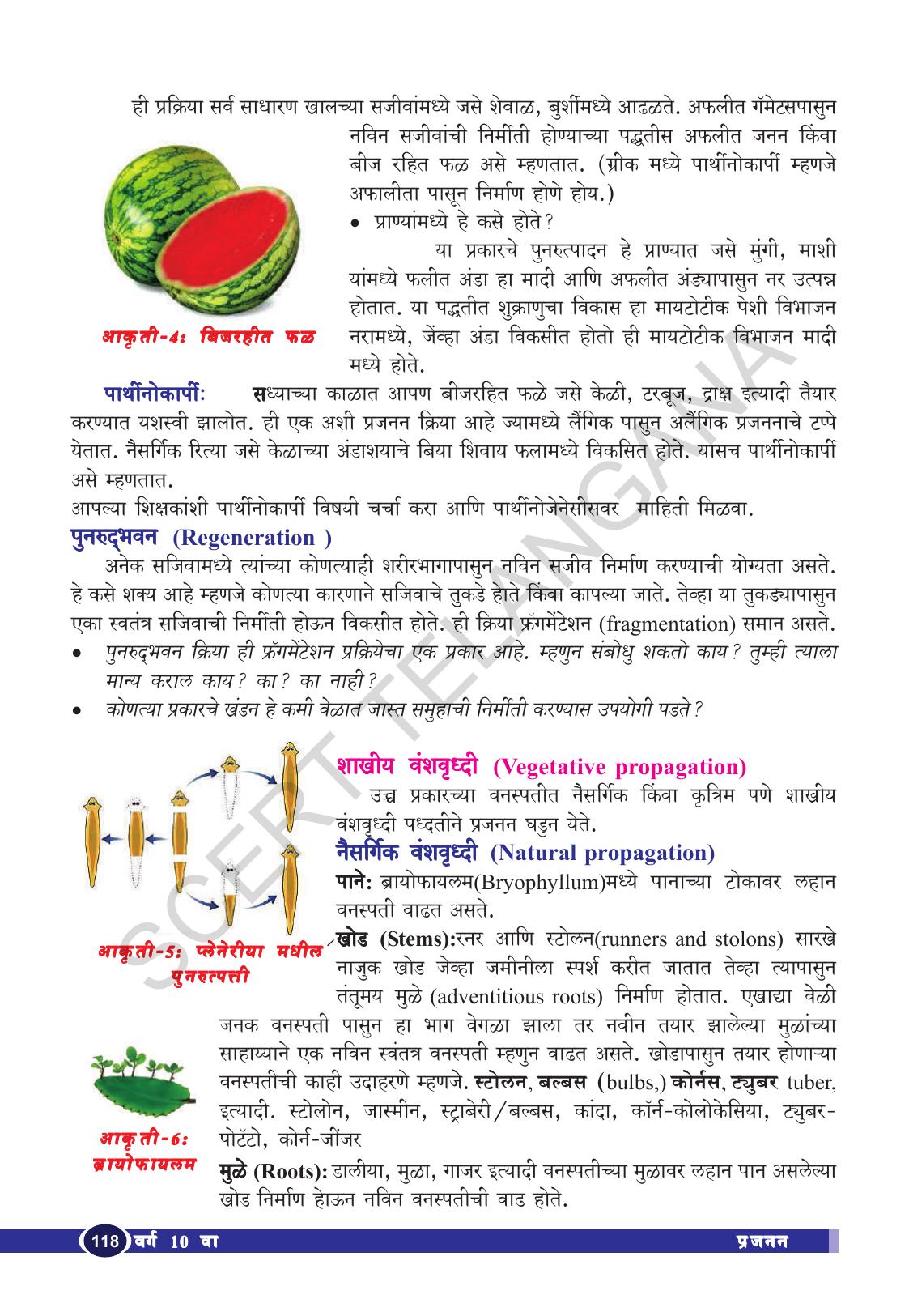 TS SCERT Class 10 Biological Science (Marathi Medium) Text Book - Page 130