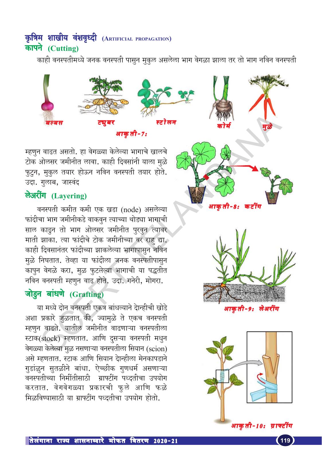 TS SCERT Class 10 Biological Science (Marathi Medium) Text Book - Page 131