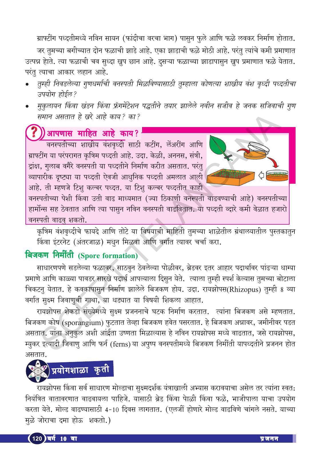 TS SCERT Class 10 Biological Science (Marathi Medium) Text Book - Page 132