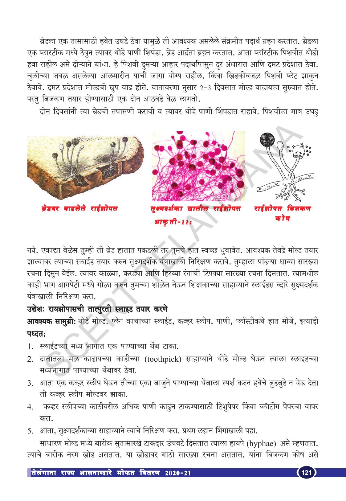 TS SCERT Class 10 Biological Science (Marathi Medium) Text Book - Page 133