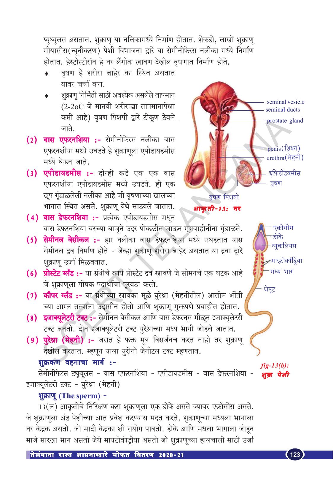 TS SCERT Class 10 Biological Science (Marathi Medium) Text Book - Page 135