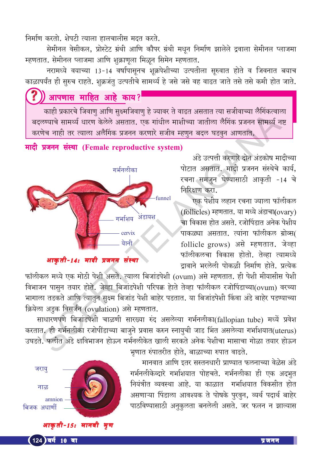 TS SCERT Class 10 Biological Science (Marathi Medium) Text Book - Page 136