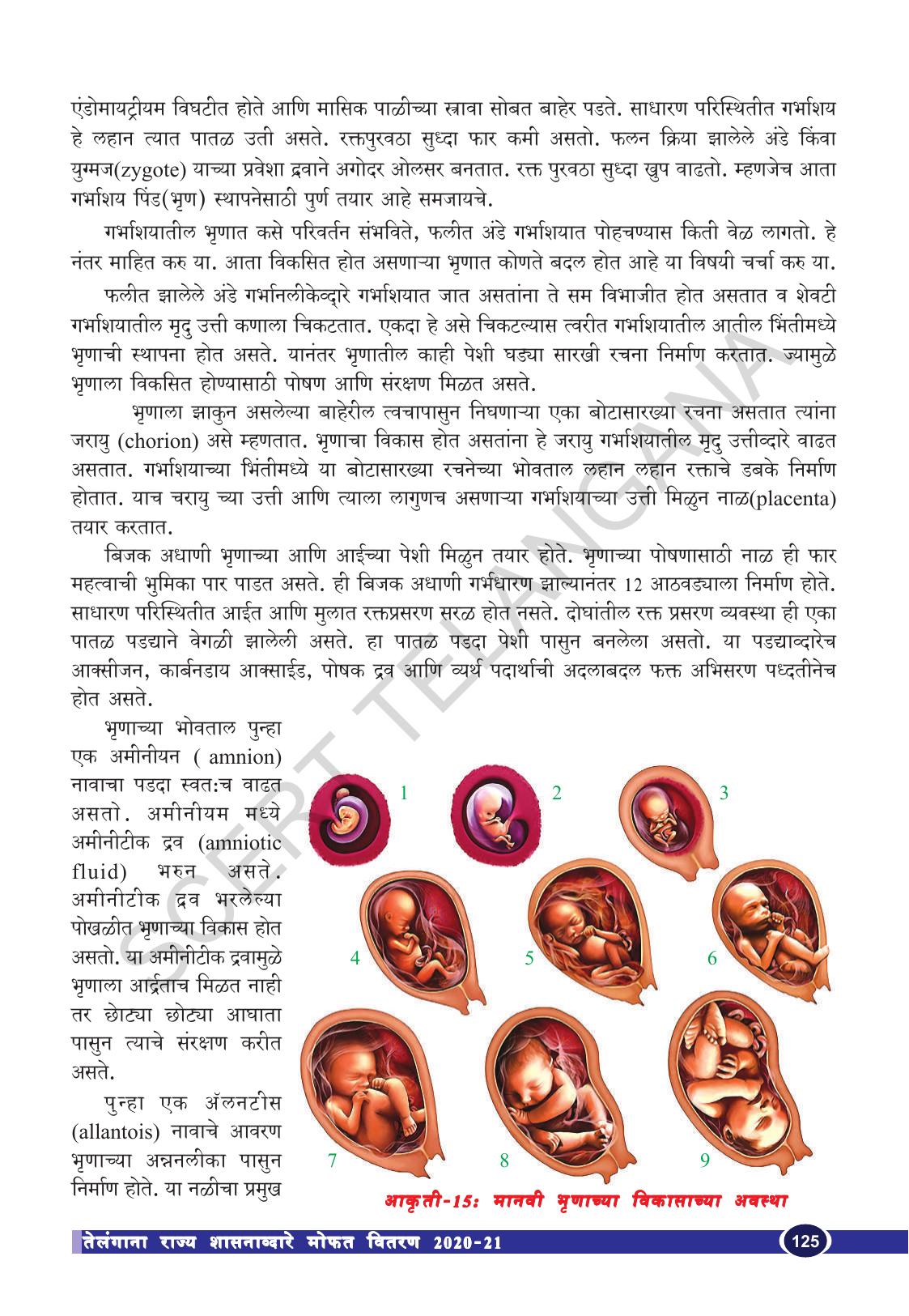 TS SCERT Class 10 Biological Science (Marathi Medium) Text Book - Page 137