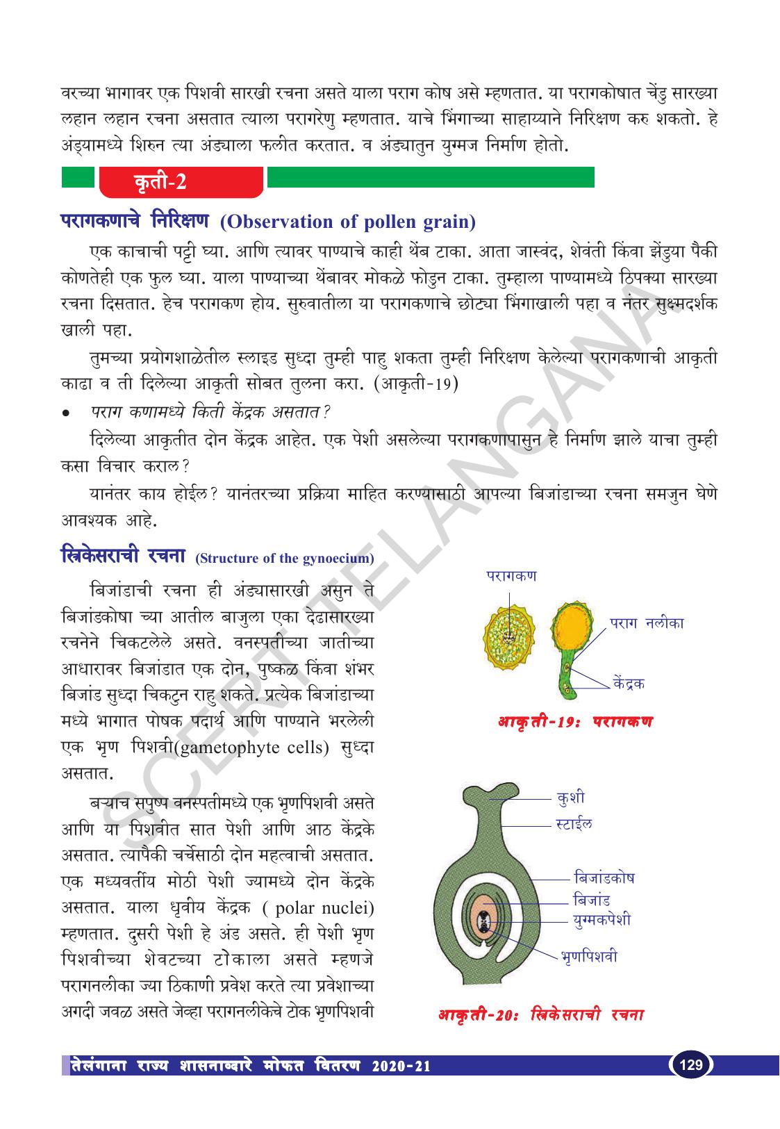 TS SCERT Class 10 Biological Science (Marathi Medium) Text Book - Page 141
