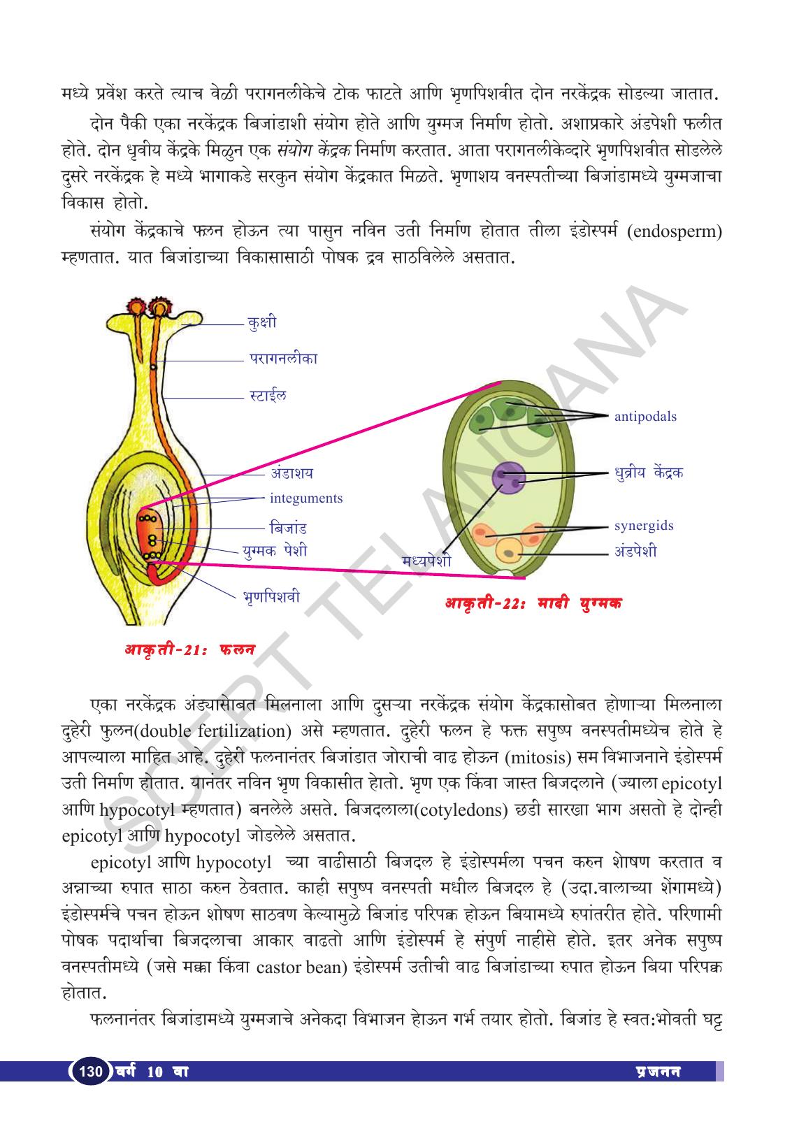 TS SCERT Class 10 Biological Science (Marathi Medium) Text Book - Page 142