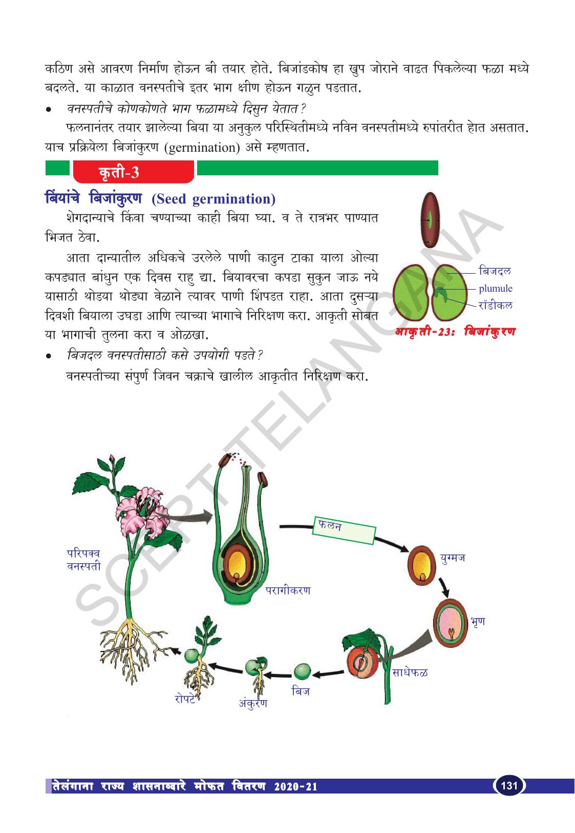 TS SCERT Class 10 Biological Science (Marathi Medium) Text Book - Page 143