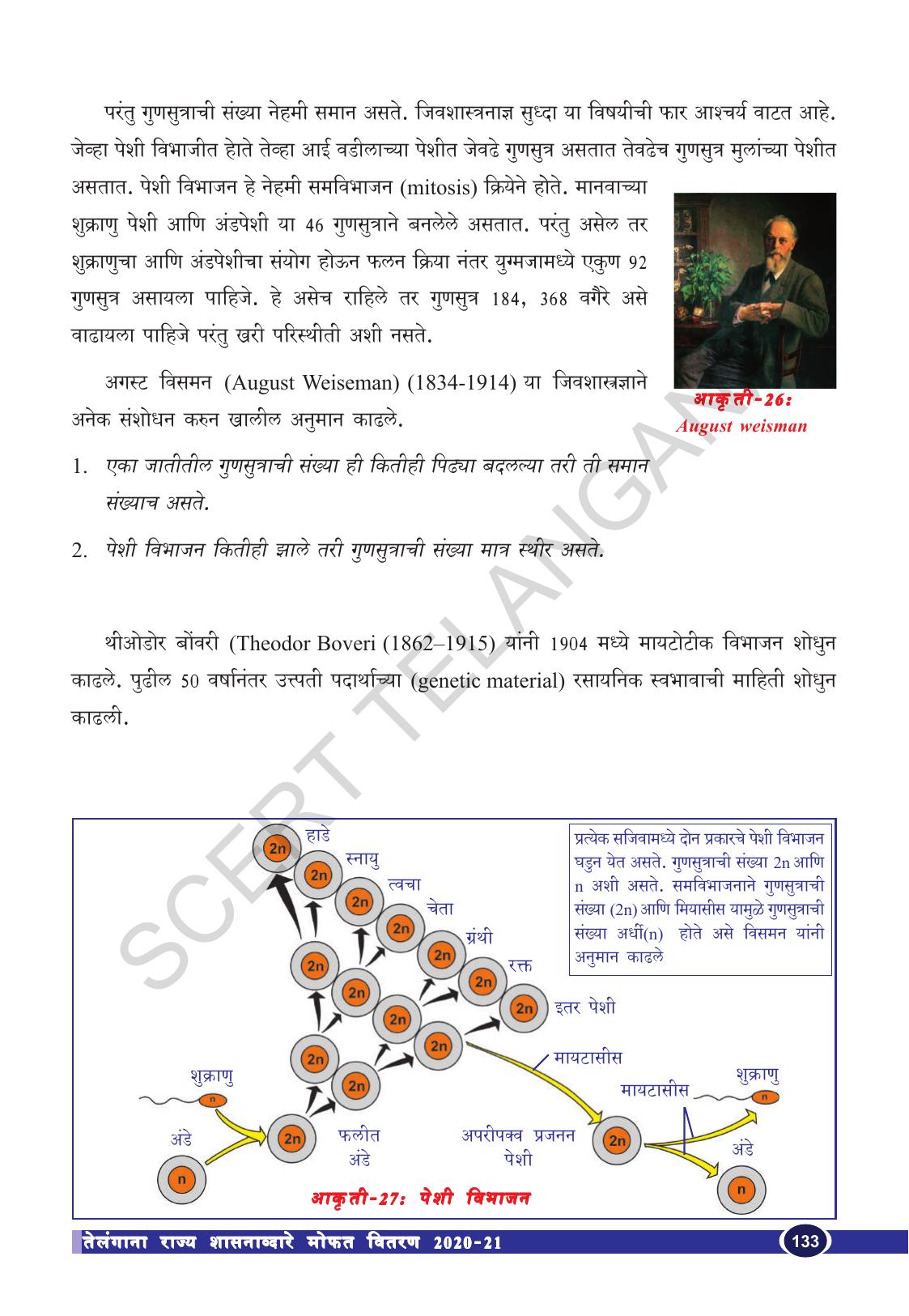 TS SCERT Class 10 Biological Science (Marathi Medium) Text Book - Page 145