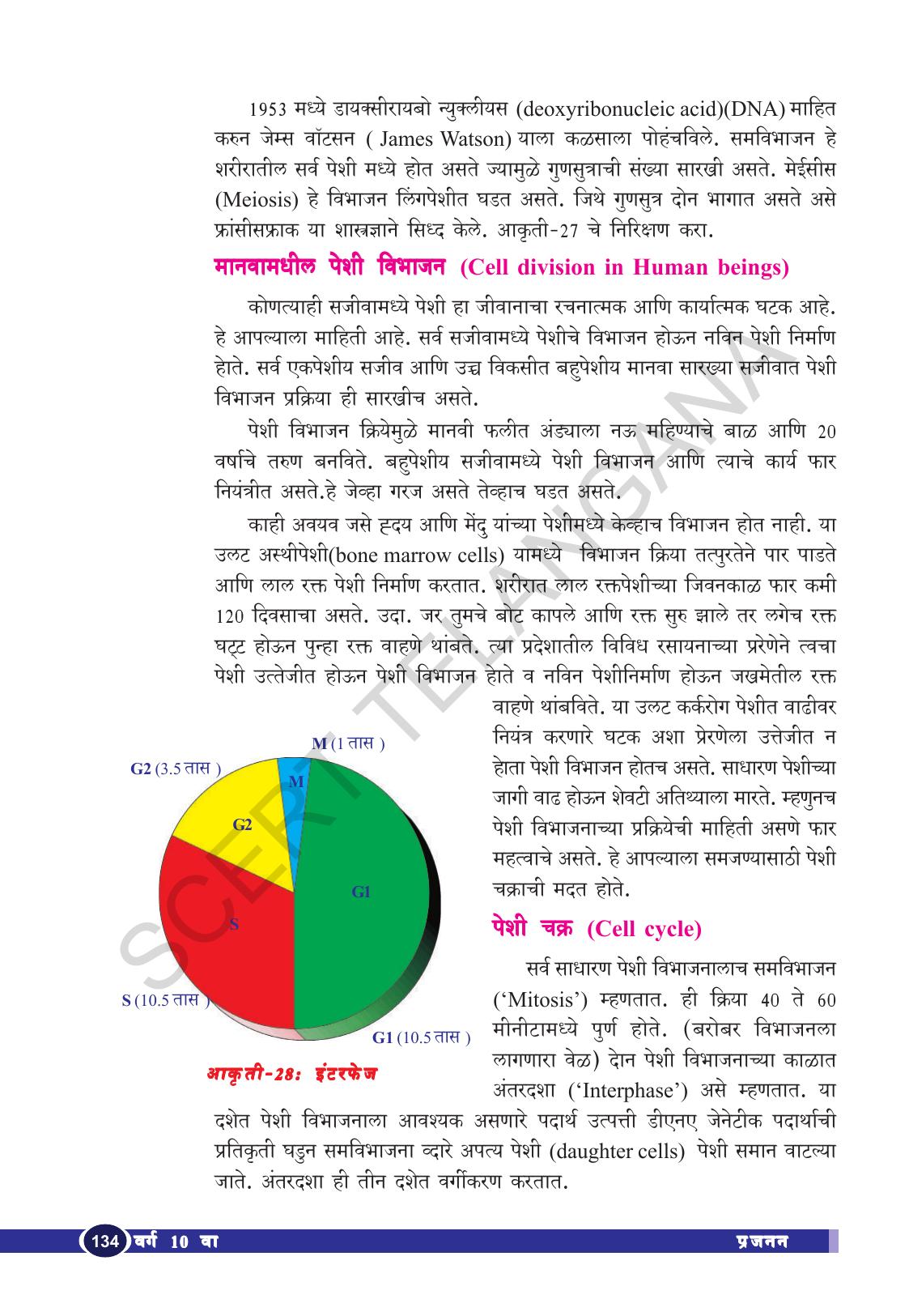 TS SCERT Class 10 Biological Science (Marathi Medium) Text Book - Page 146