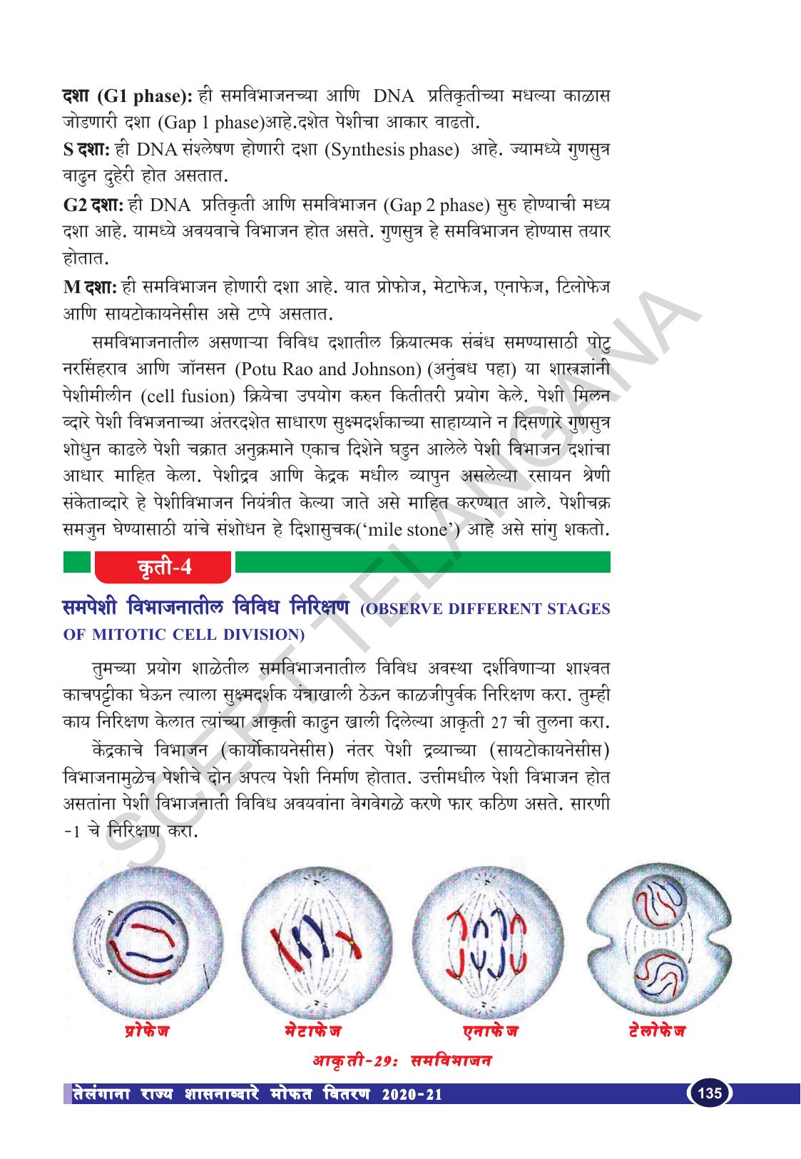 TS SCERT Class 10 Biological Science (Marathi Medium) Text Book - Page 147