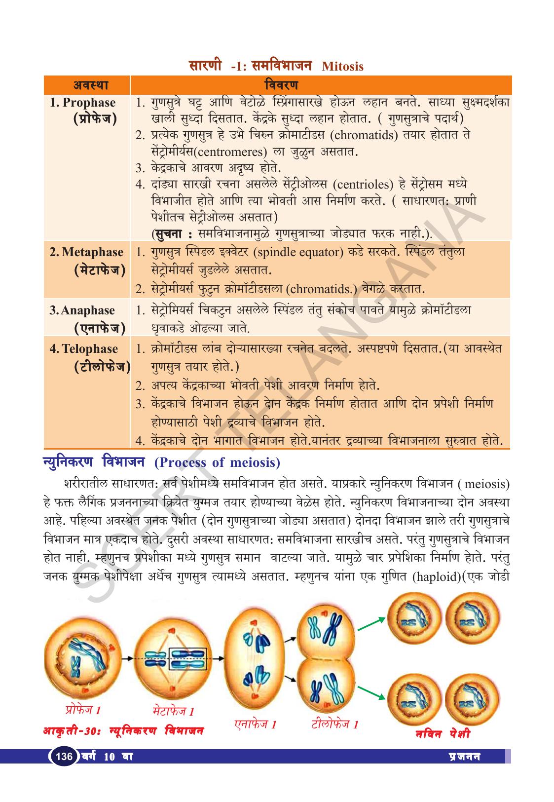 TS SCERT Class 10 Biological Science (Marathi Medium) Text Book - Page 148
