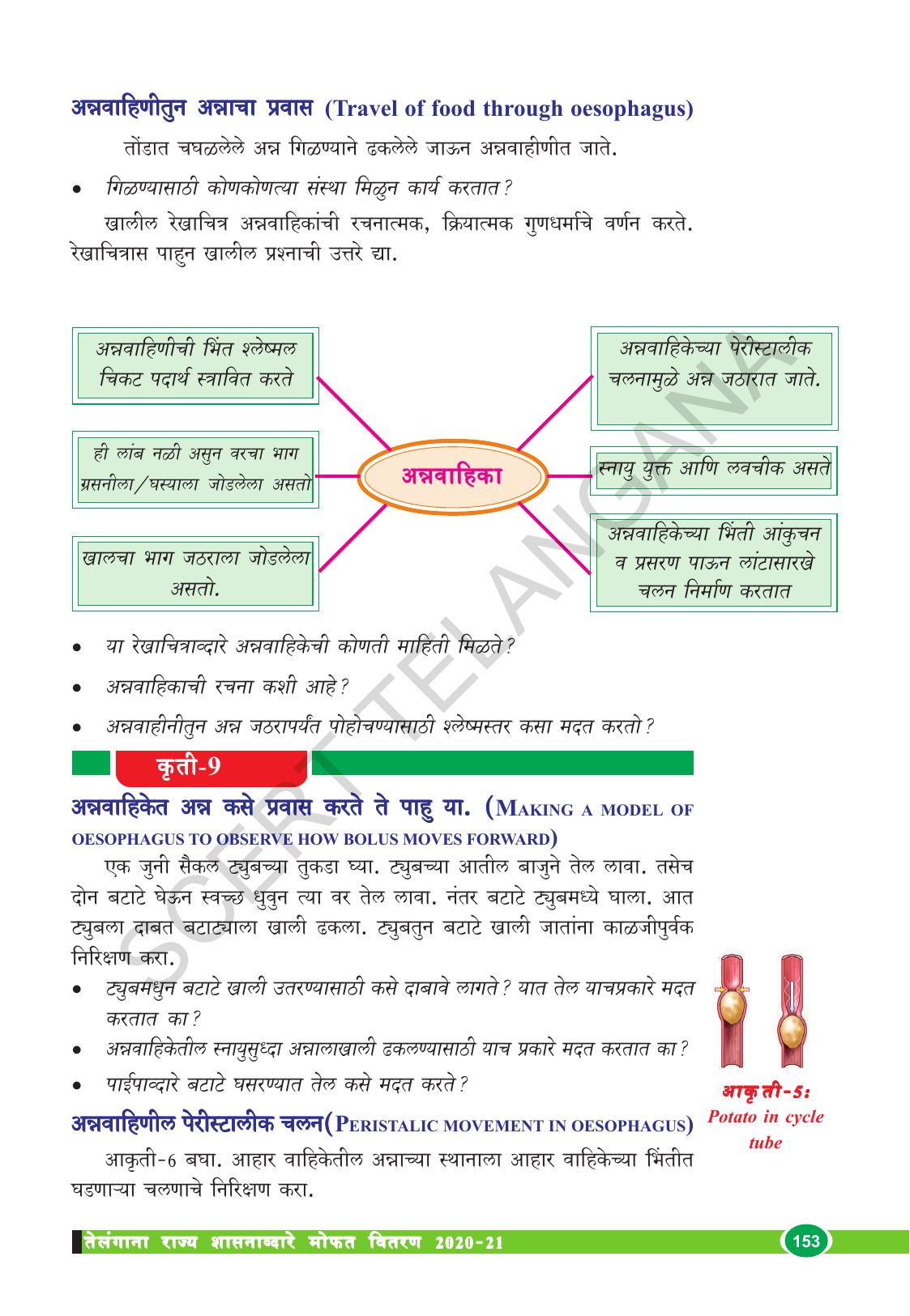 TS SCERT Class 10 Biological Science (Marathi Medium) Text Book - Page 165