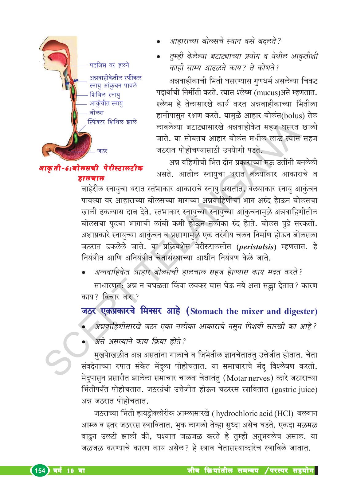 TS SCERT Class 10 Biological Science (Marathi Medium) Text Book - Page 166