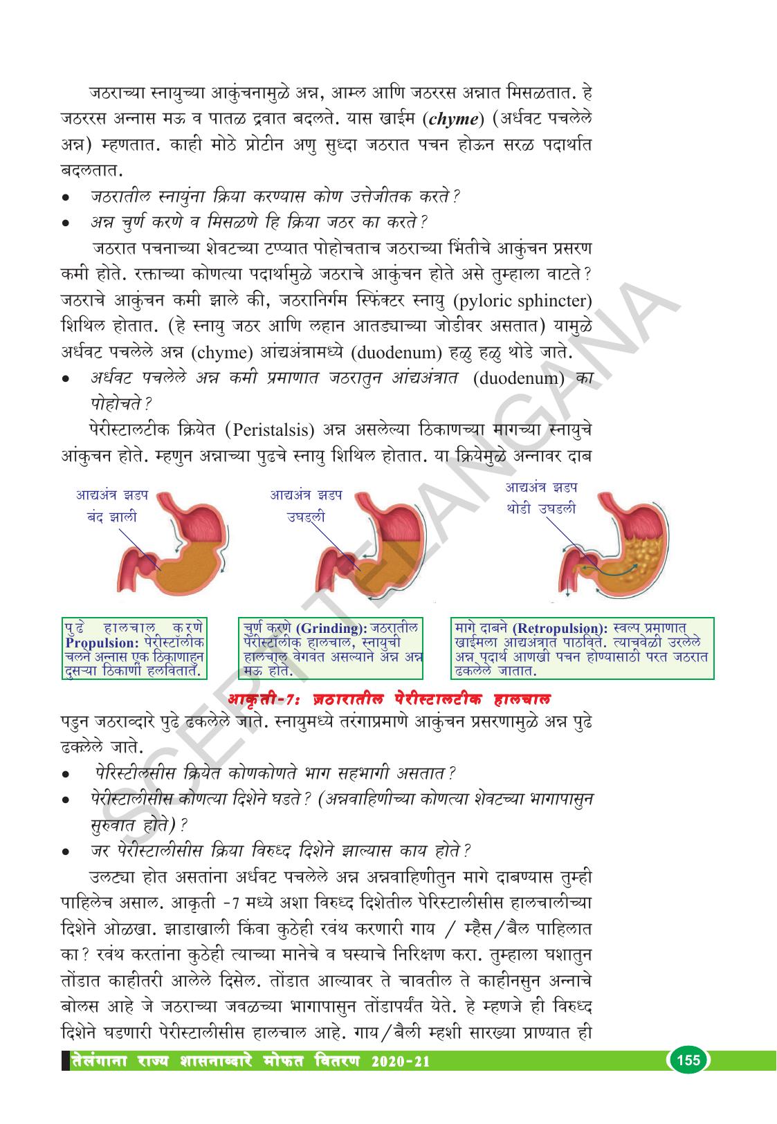 TS SCERT Class 10 Biological Science (Marathi Medium) Text Book - Page 167