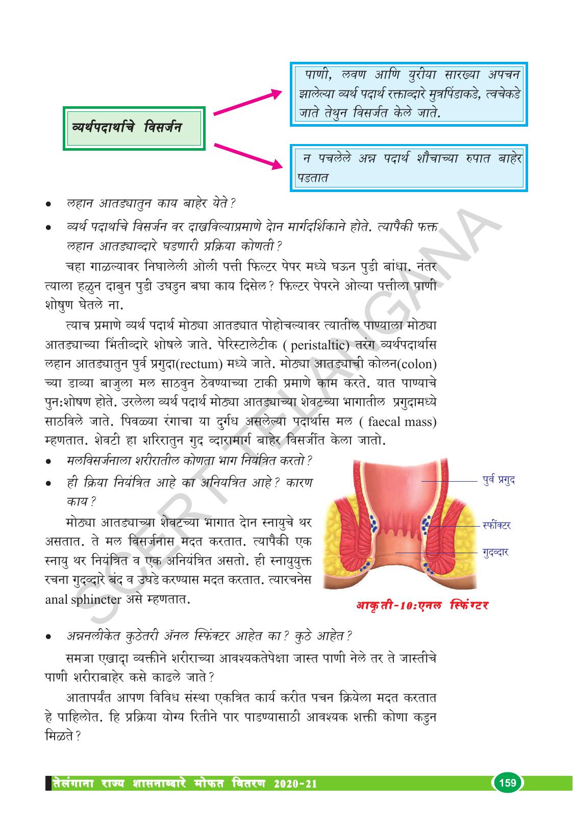 TS SCERT Class 10 Biological Science (Marathi Medium) Text Book - Page 171