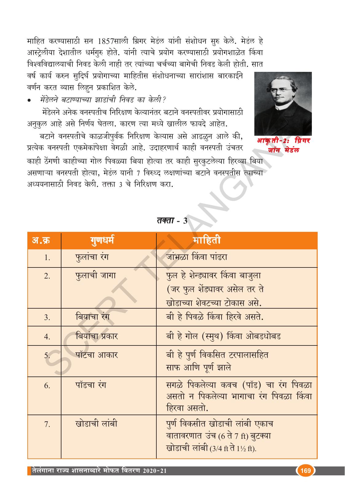 TS SCERT Class 10 Biological Science (Marathi Medium) Text Book - Page 181