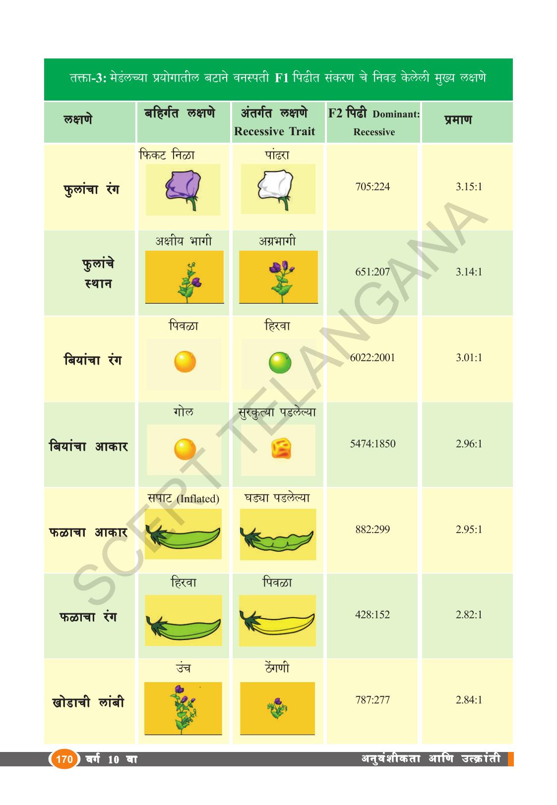 TS SCERT Class 10 Biological Science (Marathi Medium) Text Book - Page 182