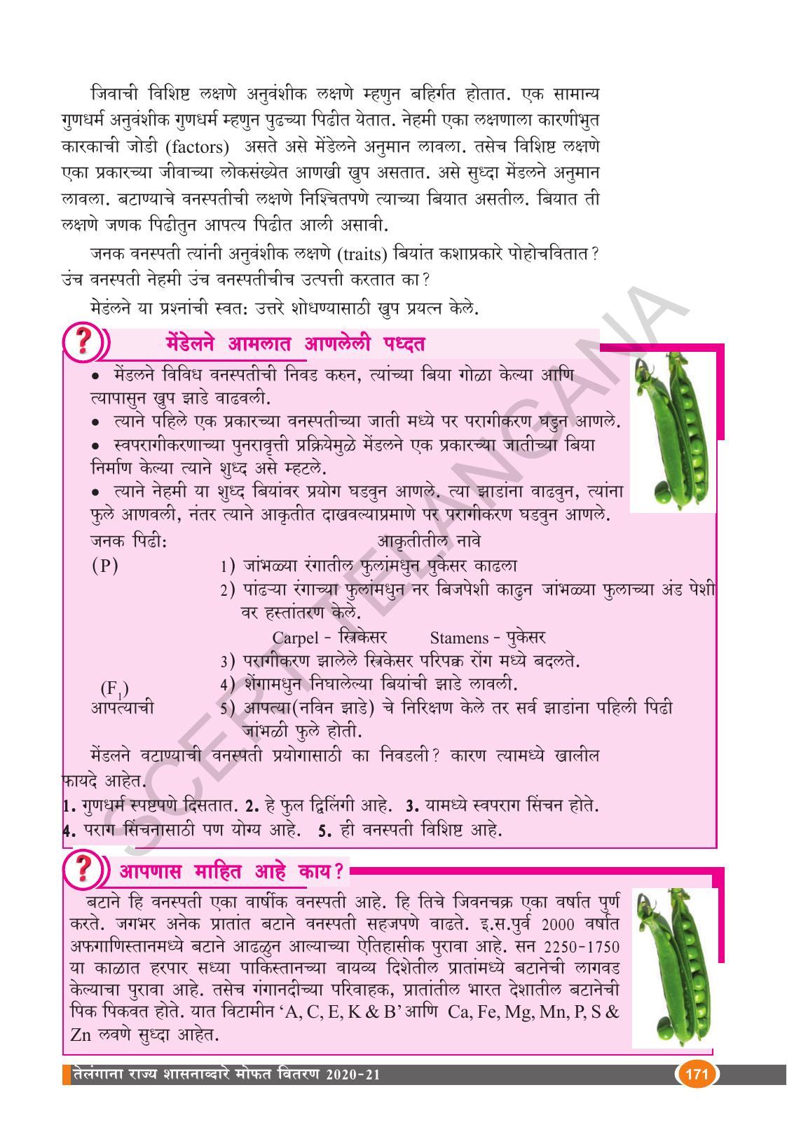 TS SCERT Class 10 Biological Science (Marathi Medium) Text Book - Page 183