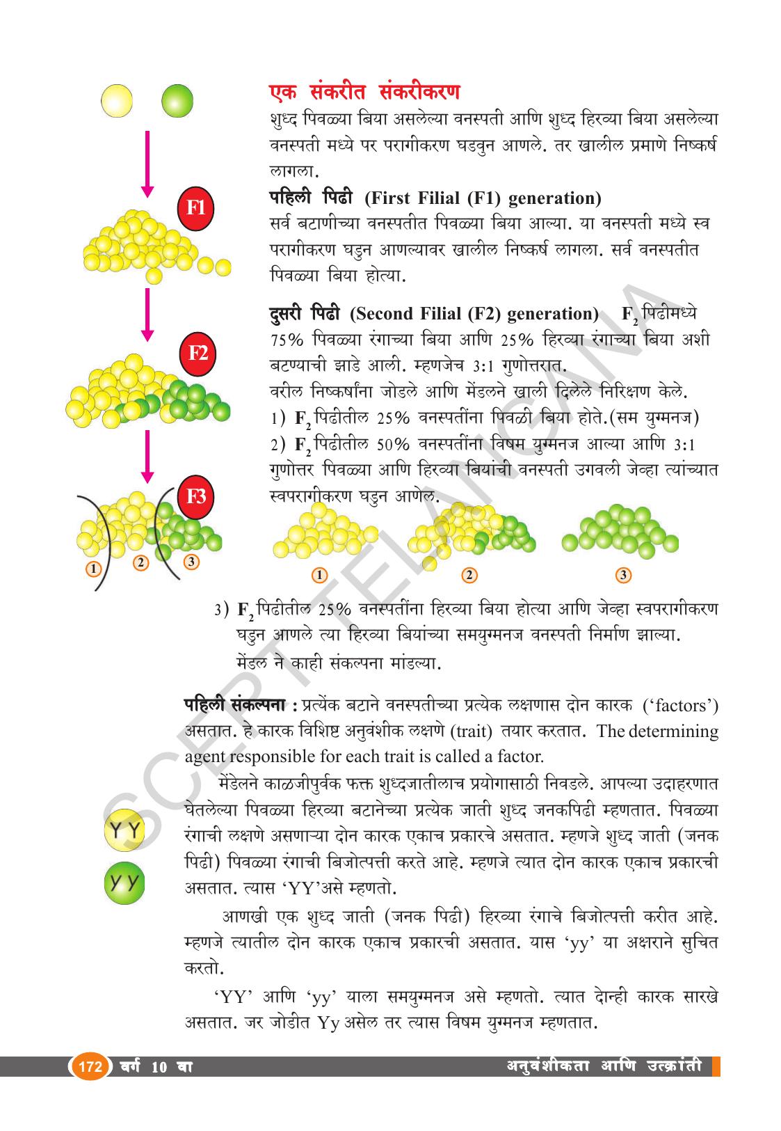 TS SCERT Class 10 Biological Science (Marathi Medium) Text Book - Page 184