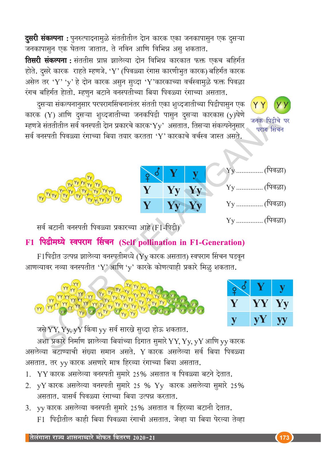 TS SCERT Class 10 Biological Science (Marathi Medium) Text Book - Page 185