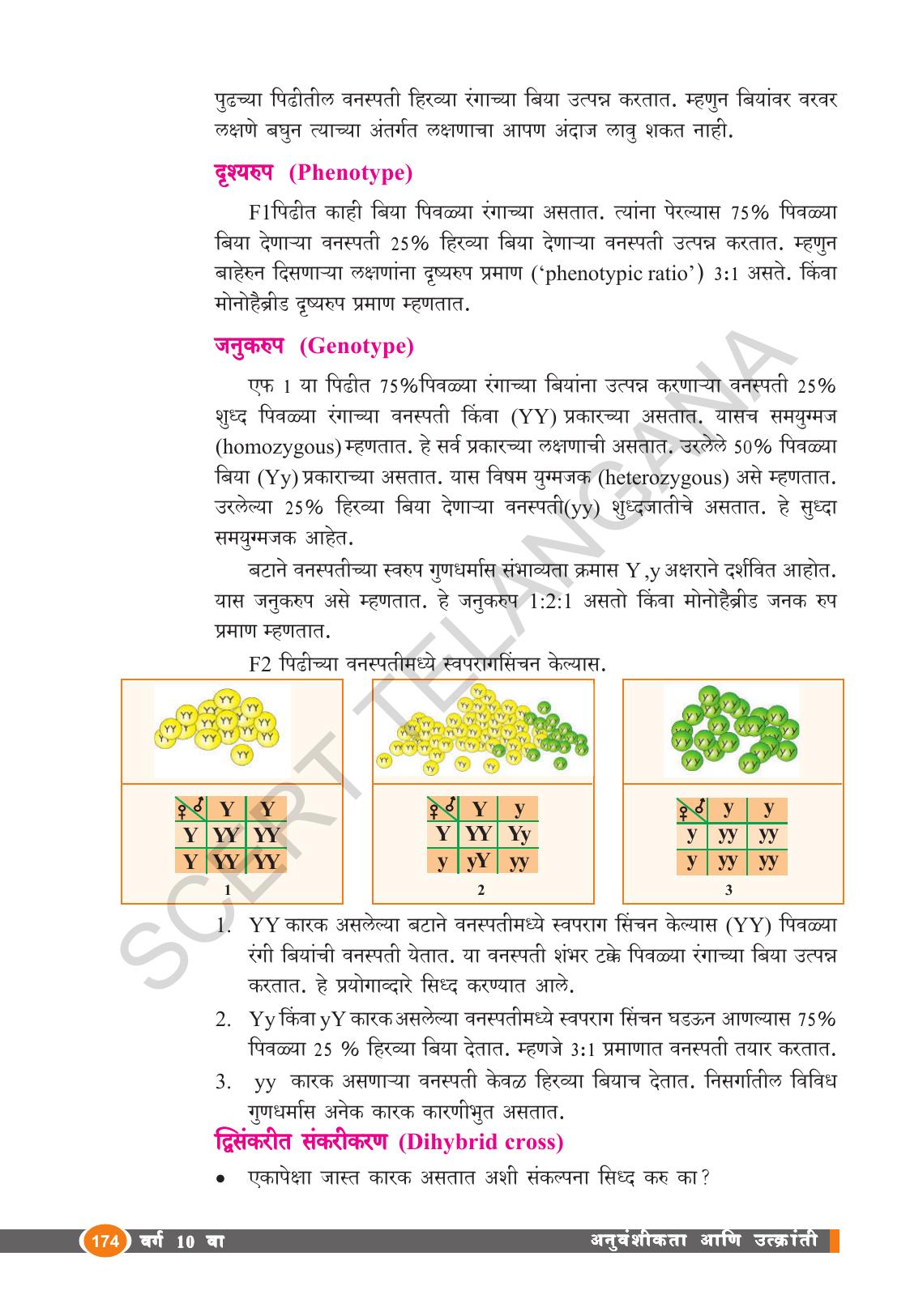 TS SCERT Class 10 Biological Science (Marathi Medium) Text Book - Page 186