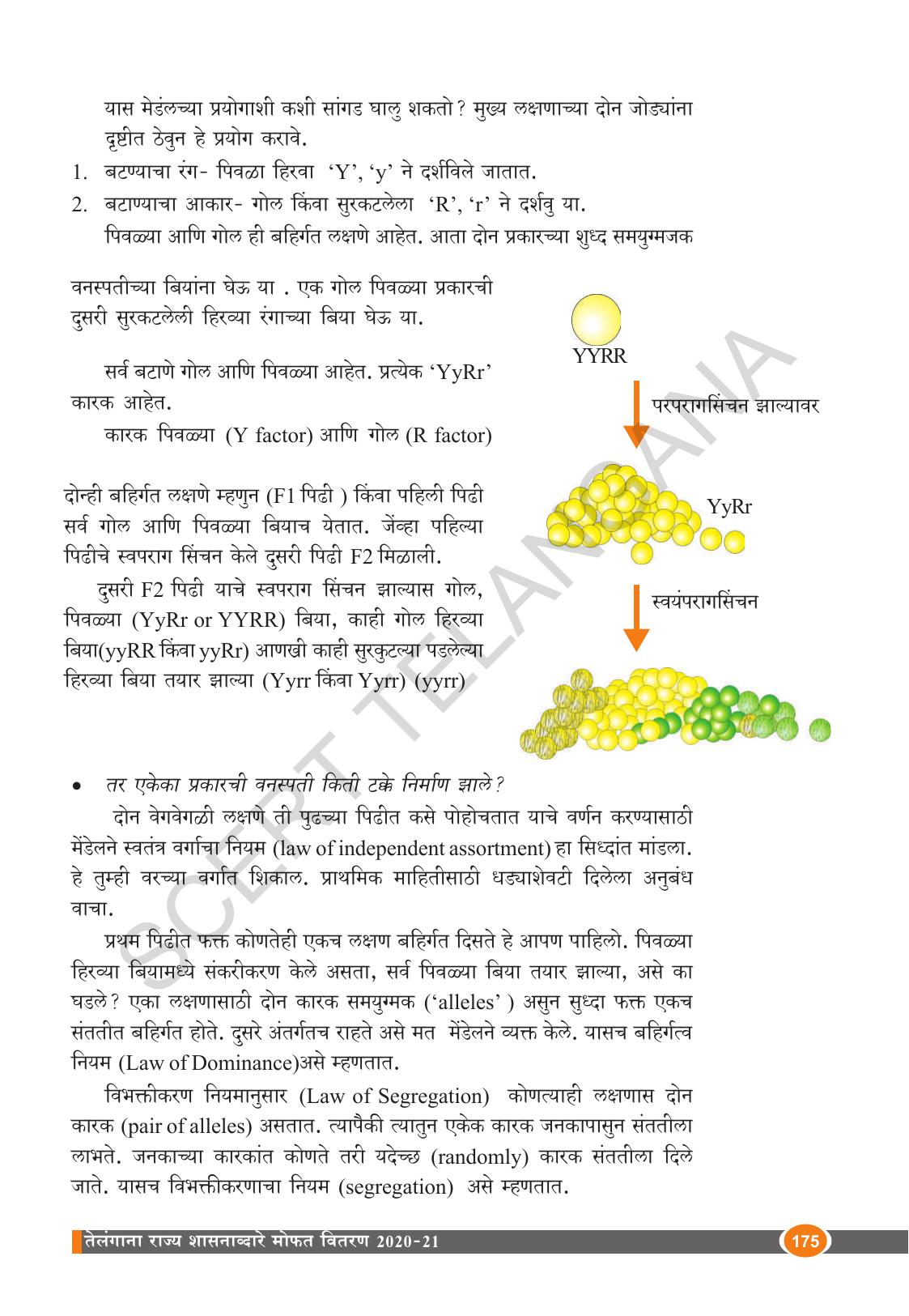 TS SCERT Class 10 Biological Science (Marathi Medium) Text Book - Page 187