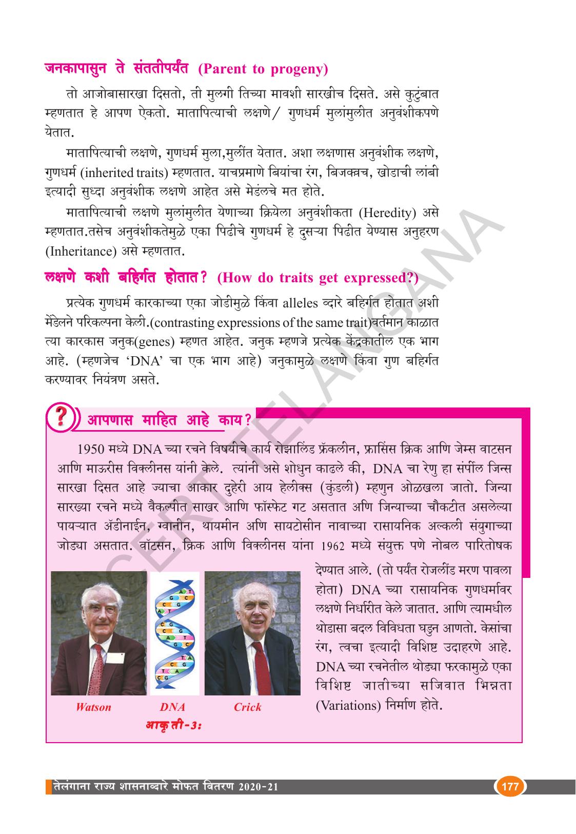 TS SCERT Class 10 Biological Science (Marathi Medium) Text Book - Page 189