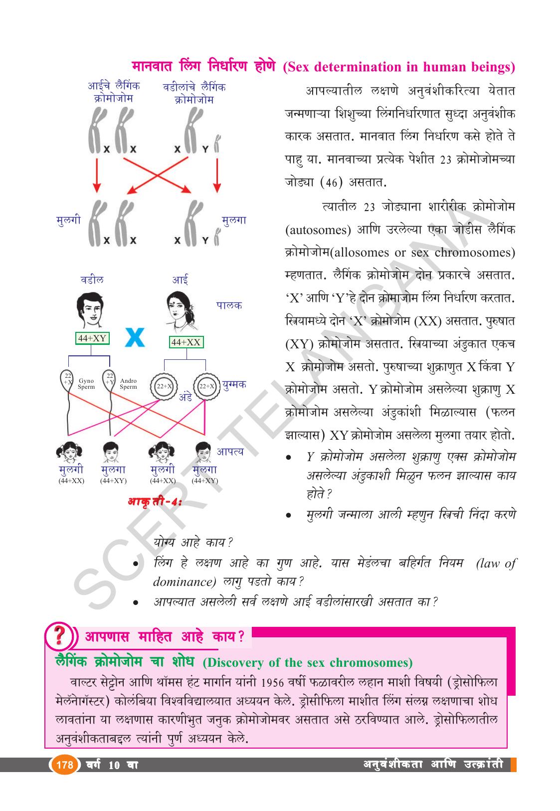 TS SCERT Class 10 Biological Science (Marathi Medium) Text Book - Page 190