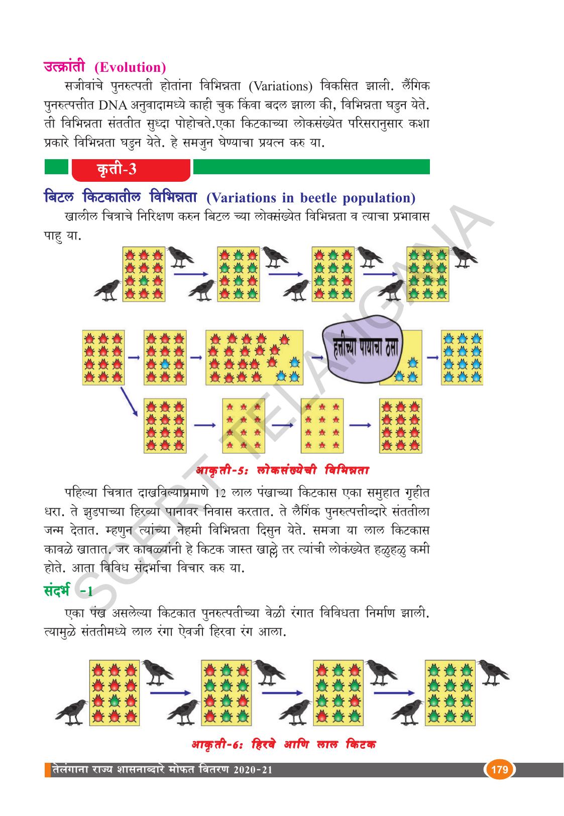 TS SCERT Class 10 Biological Science (Marathi Medium) Text Book - Page 191