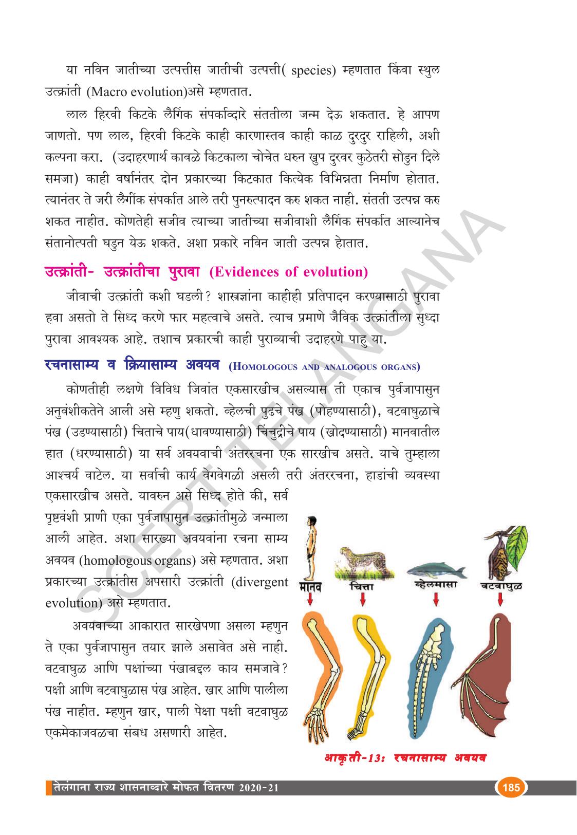 TS SCERT Class 10 Biological Science (Marathi Medium) Text Book - Page 197