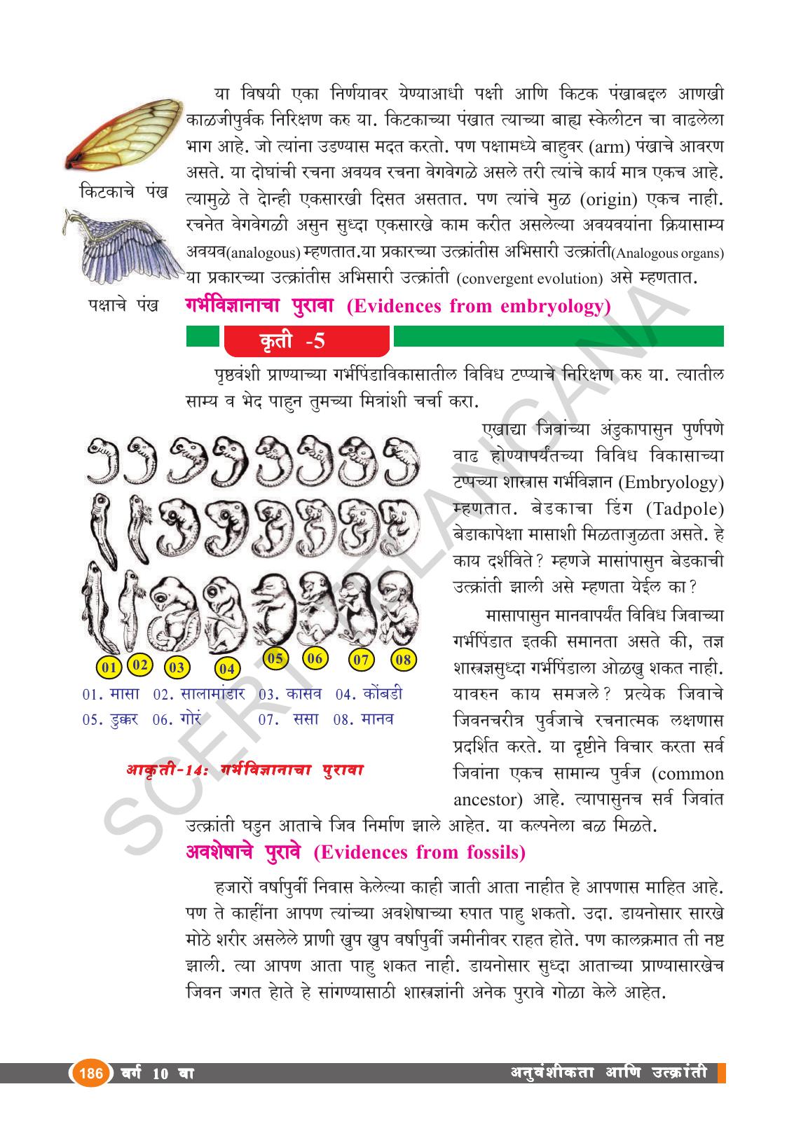 TS SCERT Class 10 Biological Science (Marathi Medium) Text Book - Page 198