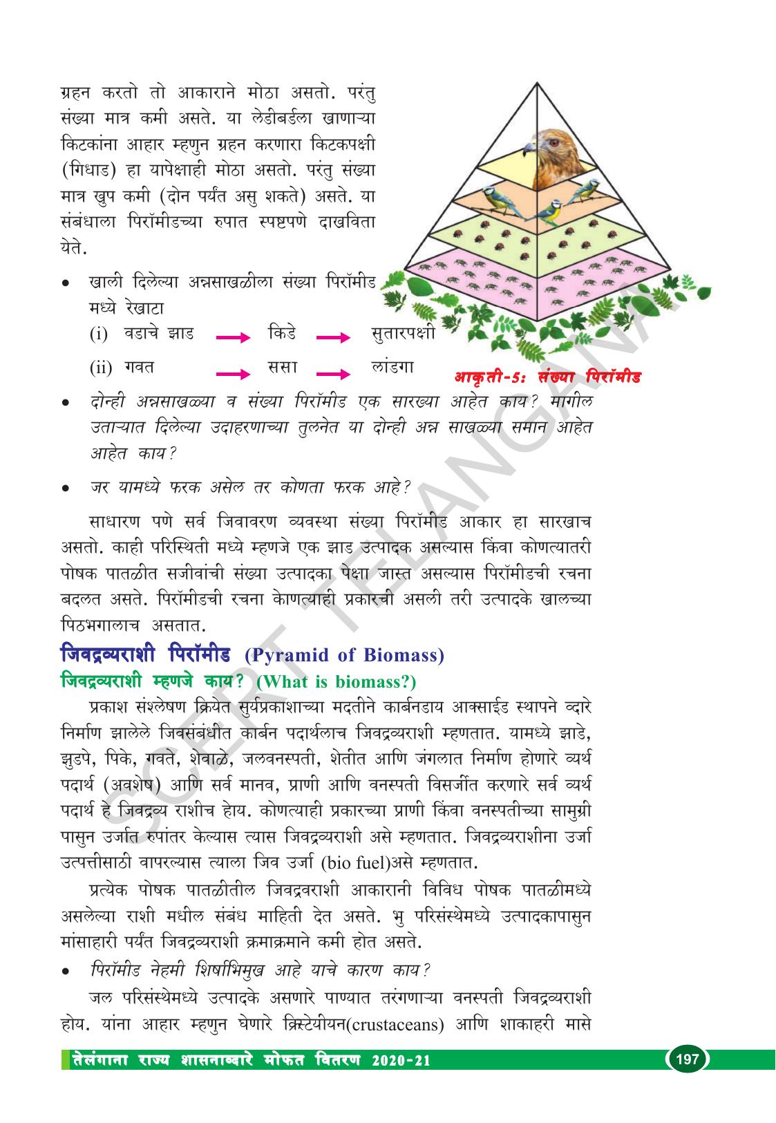 TS SCERT Class 10 Biological Science (Marathi Medium) Text Book - Page 209